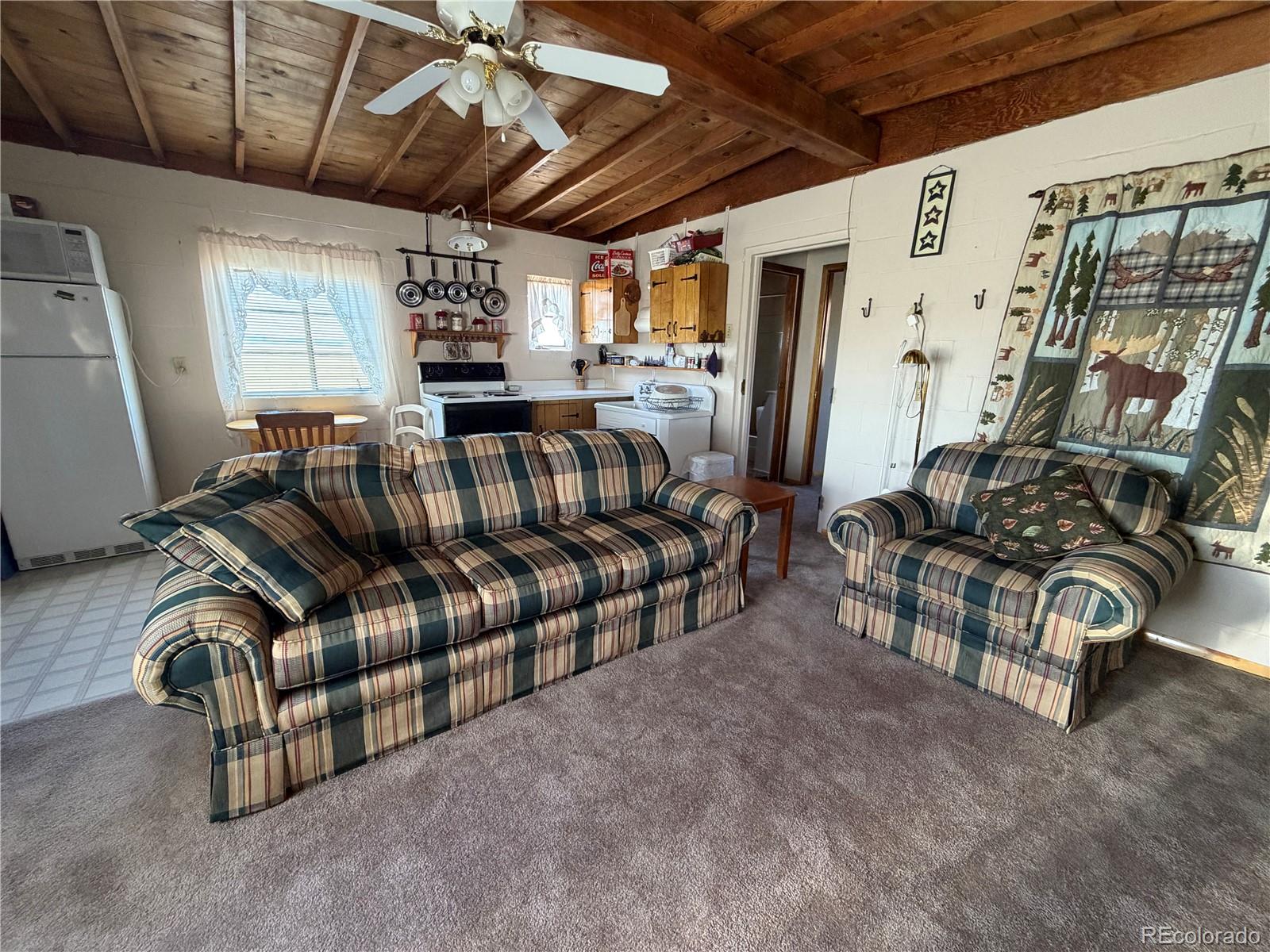MLS Image #29 for 101  doe street,hartsel, Colorado