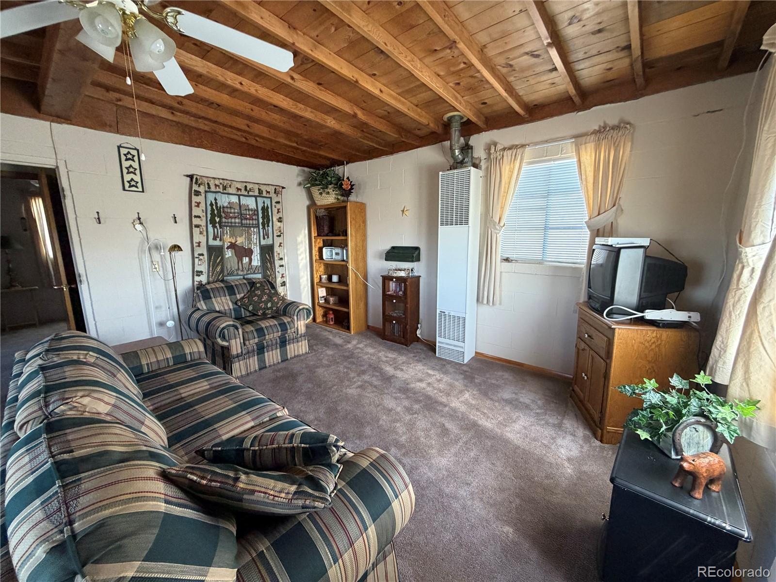 MLS Image #30 for 101  doe street,hartsel, Colorado