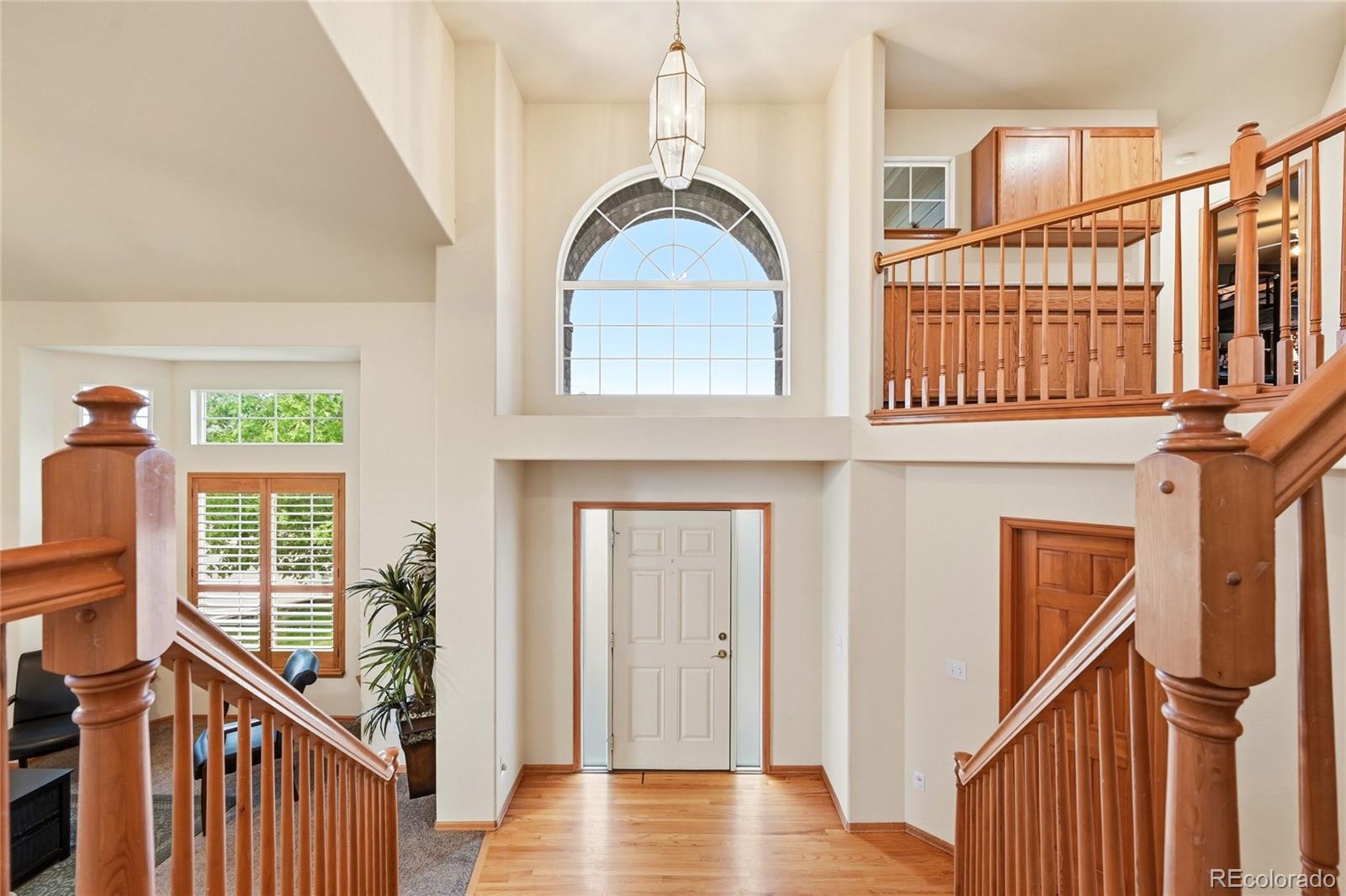 MLS Image #4 for 13747  narrowleaf drive,colorado springs, Colorado