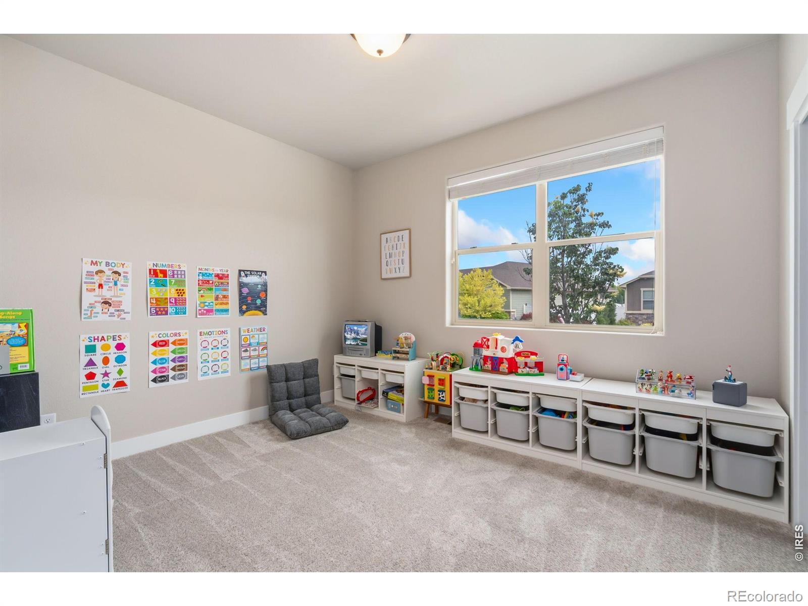 MLS Image #21 for 488  vermilion peak drive,windsor, Colorado