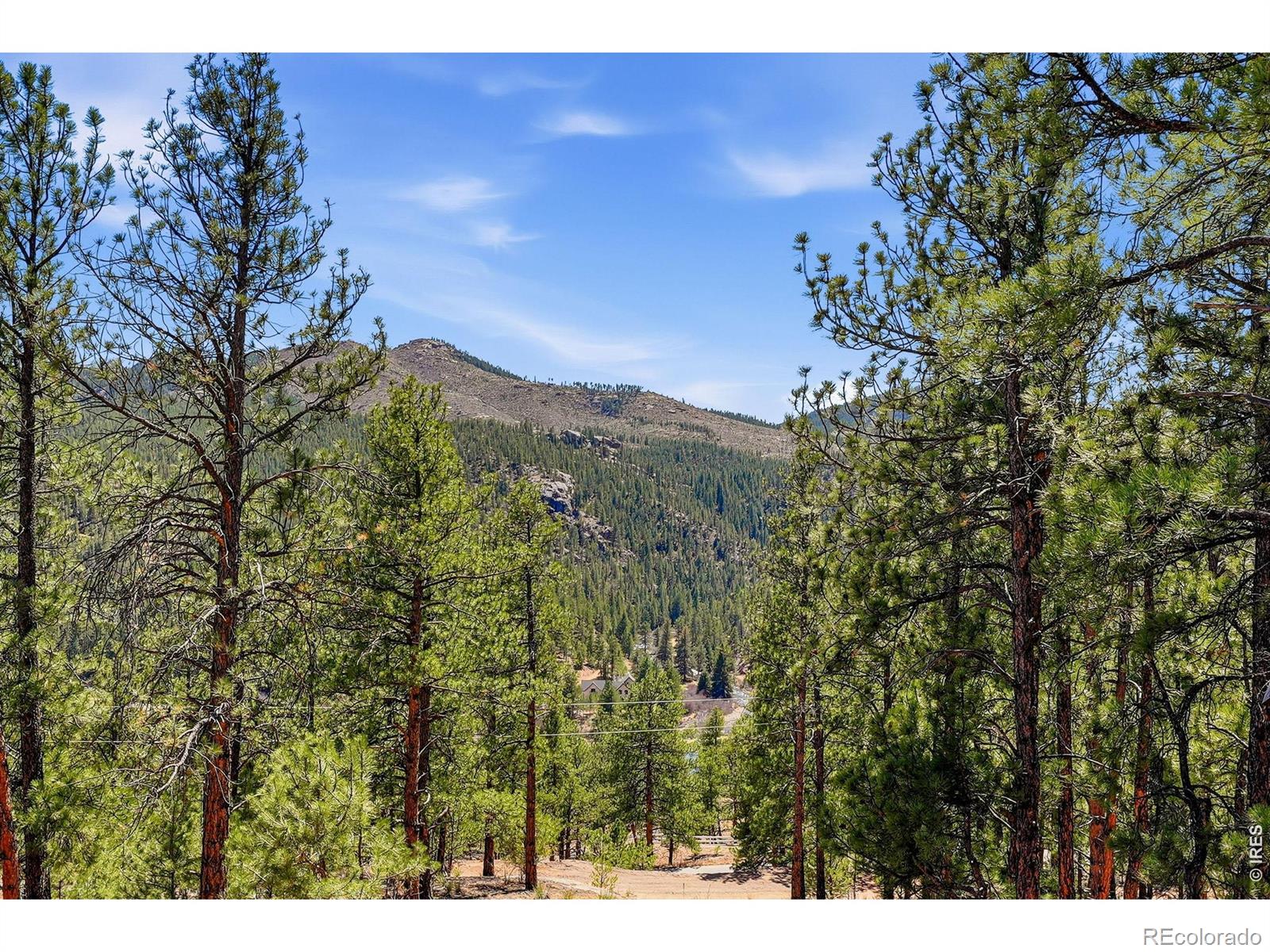 MLS Image #4 for 16687  ouray road,pine, Colorado