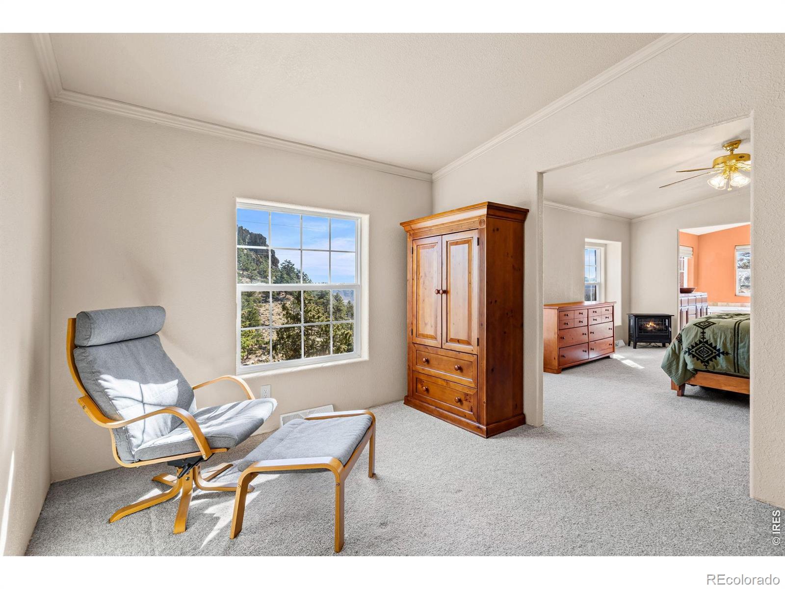 MLS Image #21 for 39  mount sherman court,livermore, Colorado