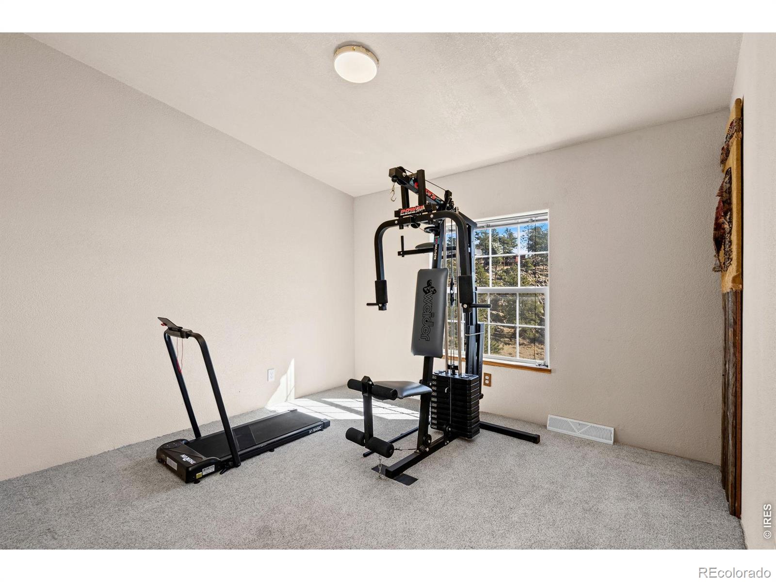 MLS Image #25 for 39  mount sherman court,livermore, Colorado