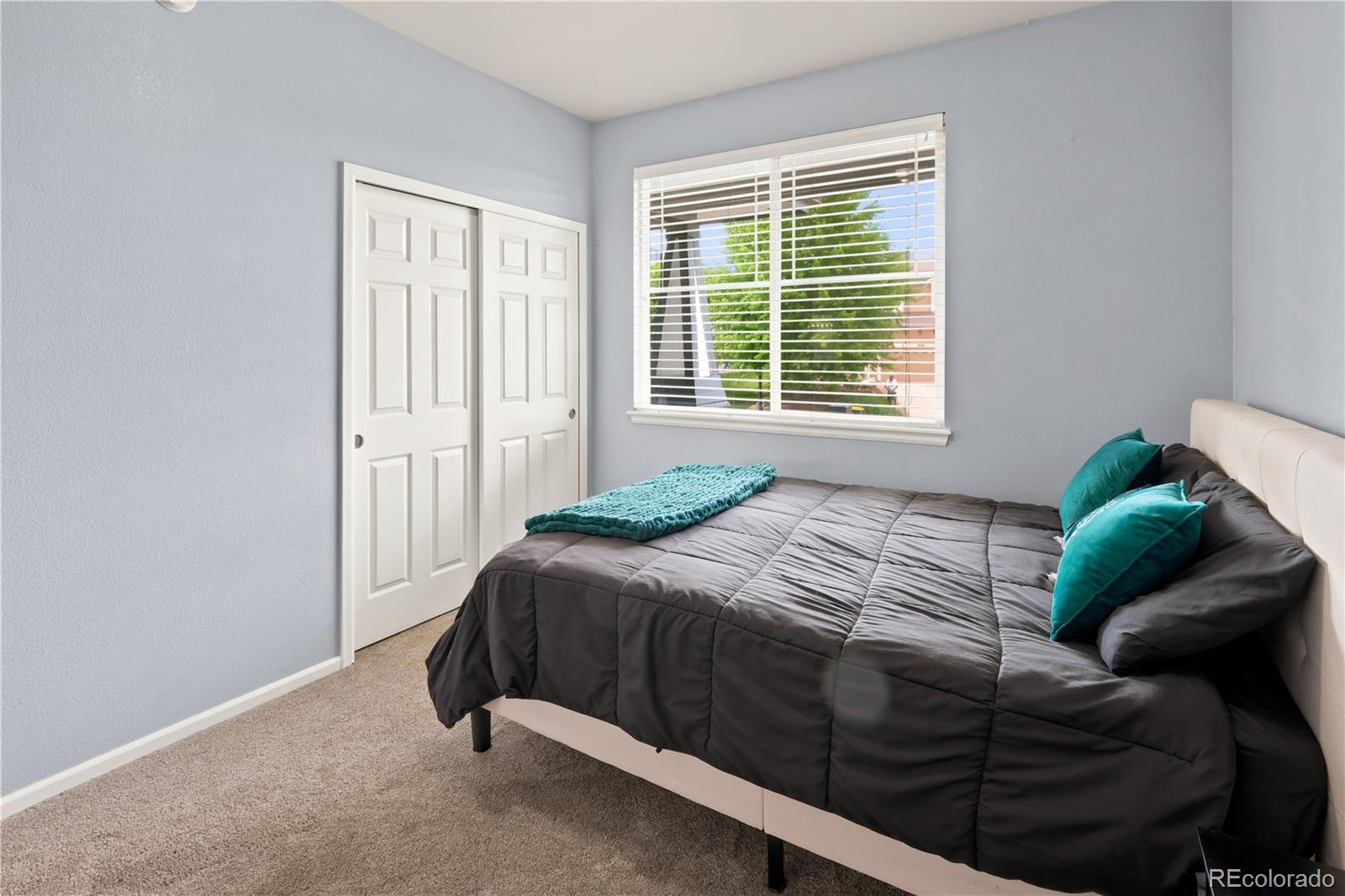MLS Image #13 for 3064  trailblazer way,castle rock, Colorado