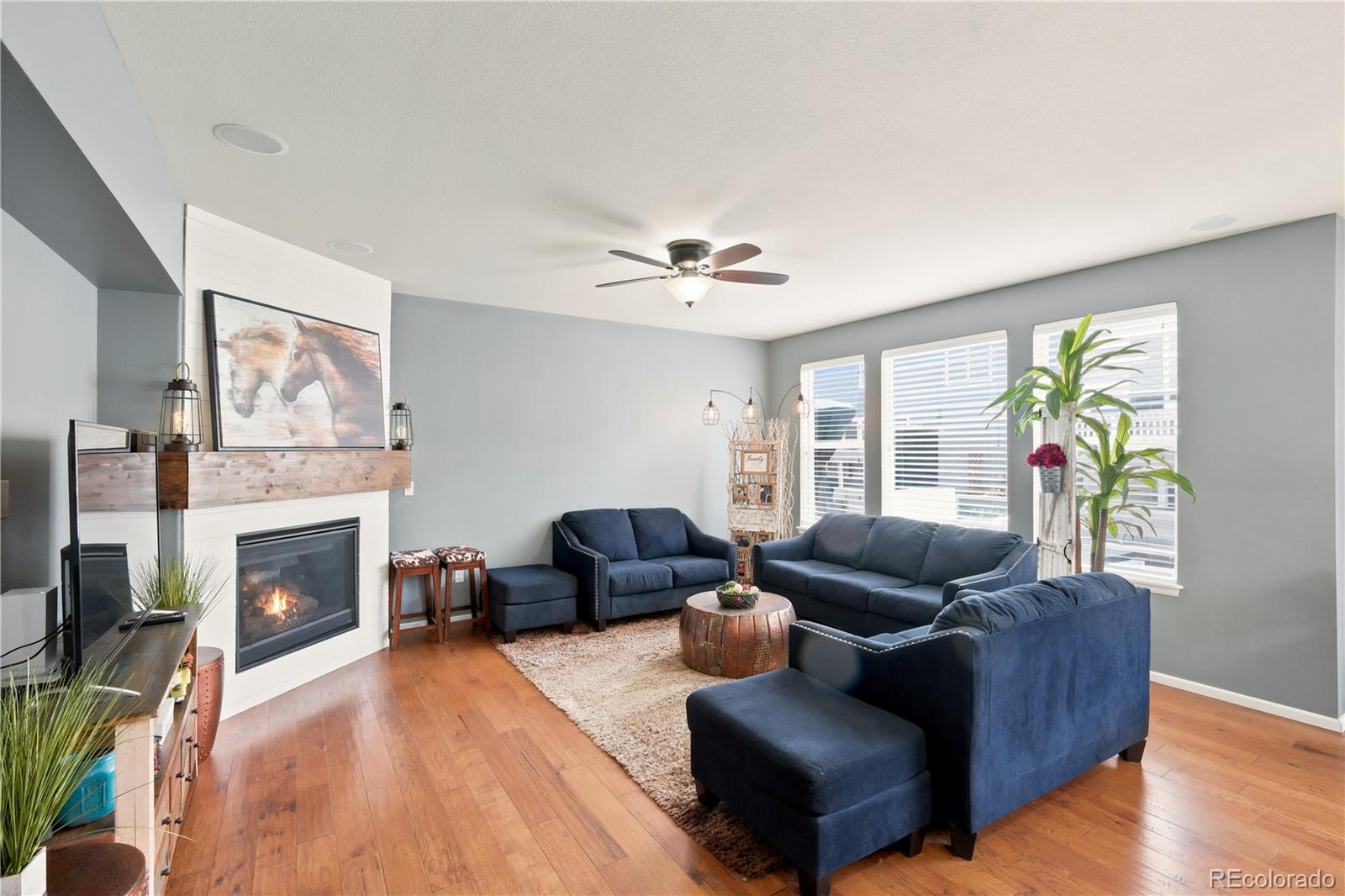MLS Image #4 for 3064  trailblazer way,castle rock, Colorado