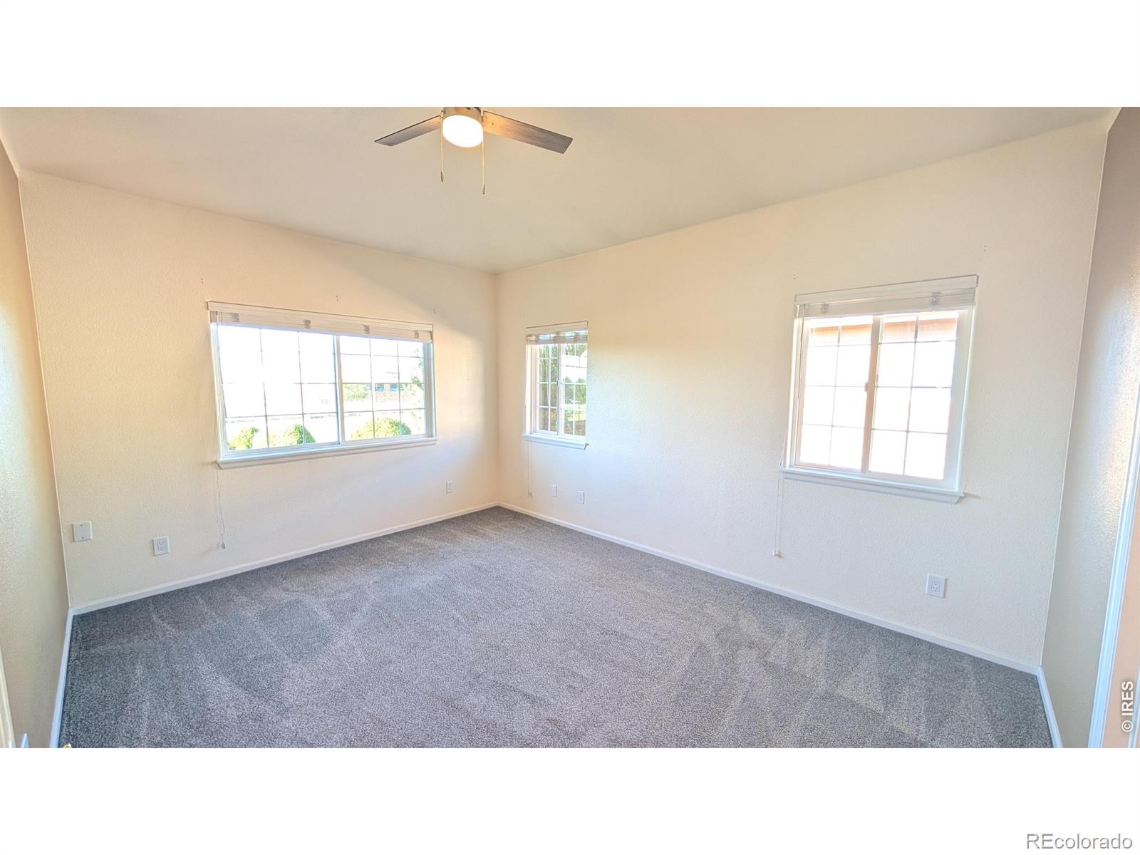MLS Image #12 for 1703  whitehall drive,longmont, Colorado