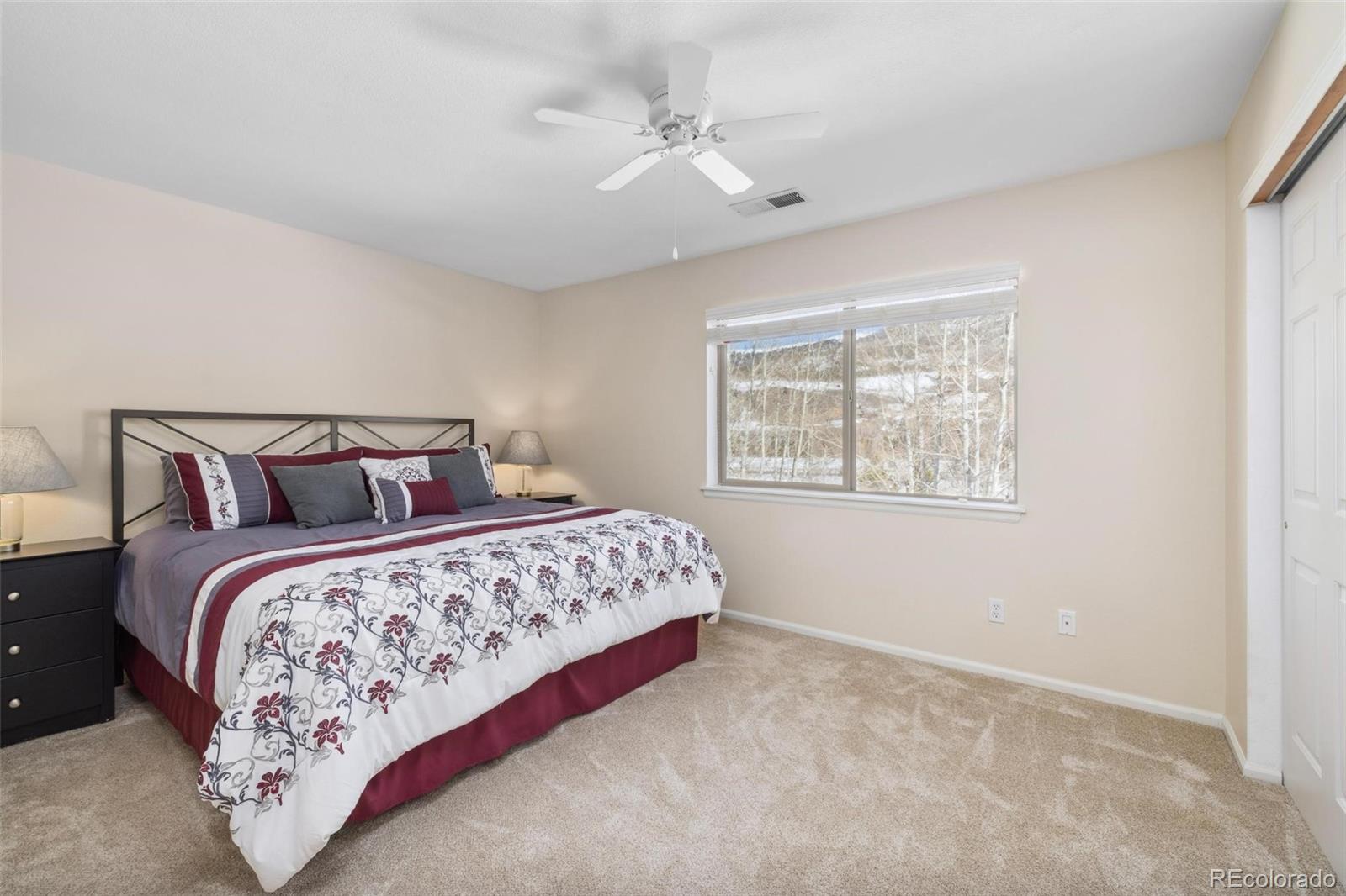MLS Image #13 for 277  kestrel lane,silverthorne, Colorado