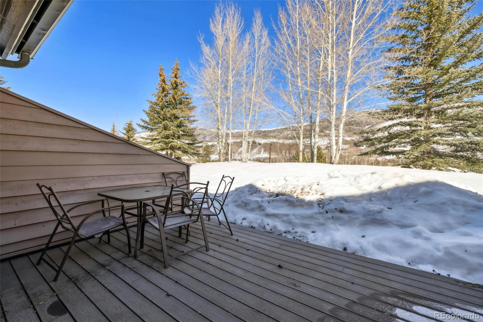 MLS Image #19 for 277  kestrel lane,silverthorne, Colorado