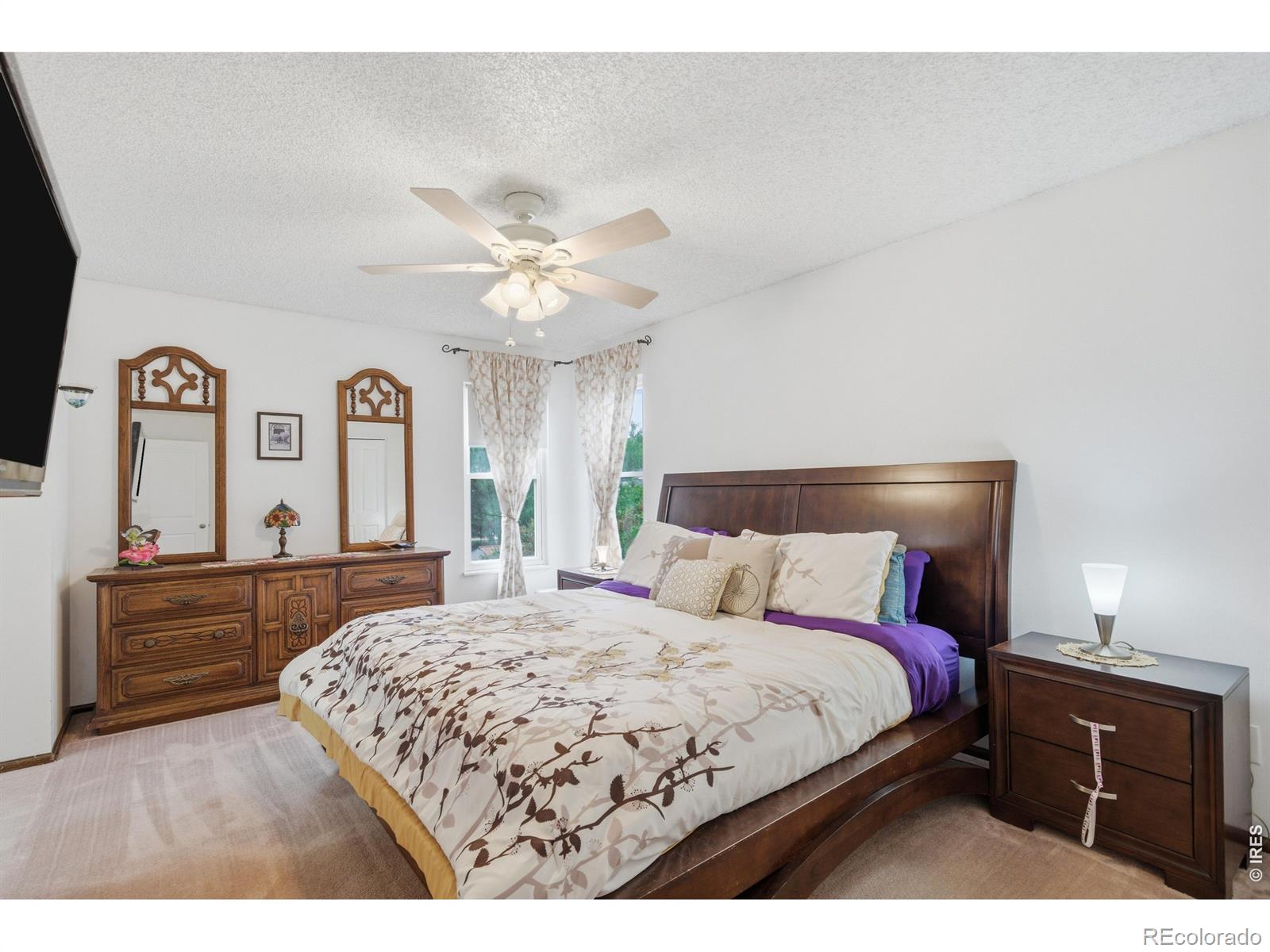 MLS Image #11 for 3107  worthington avenue,fort collins, Colorado