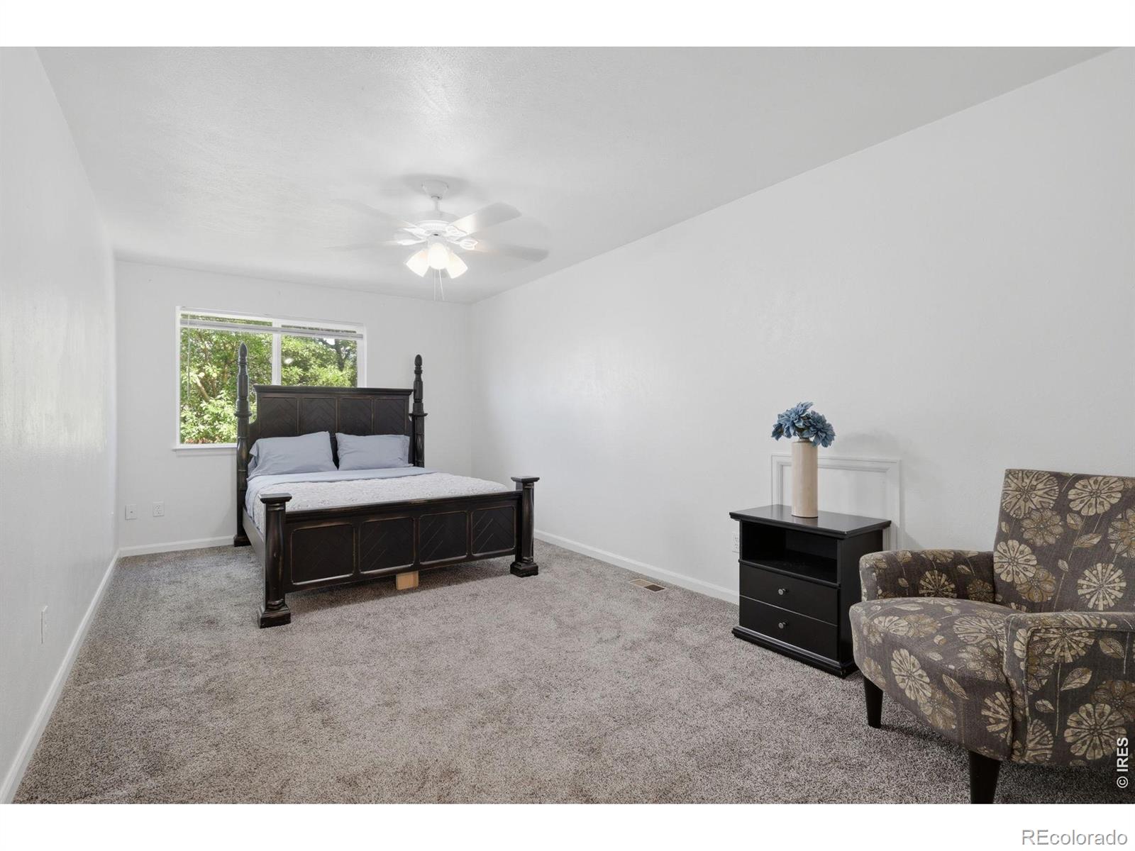 MLS Image #14 for 2479  tulip street,longmont, Colorado