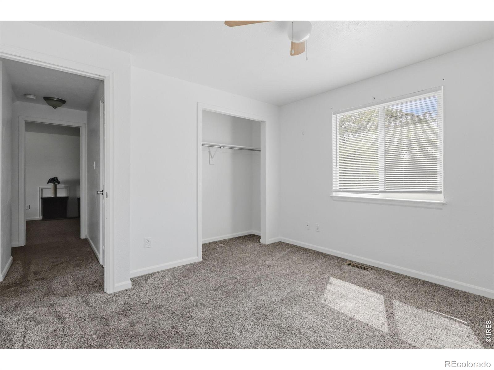MLS Image #16 for 2479  tulip street,longmont, Colorado