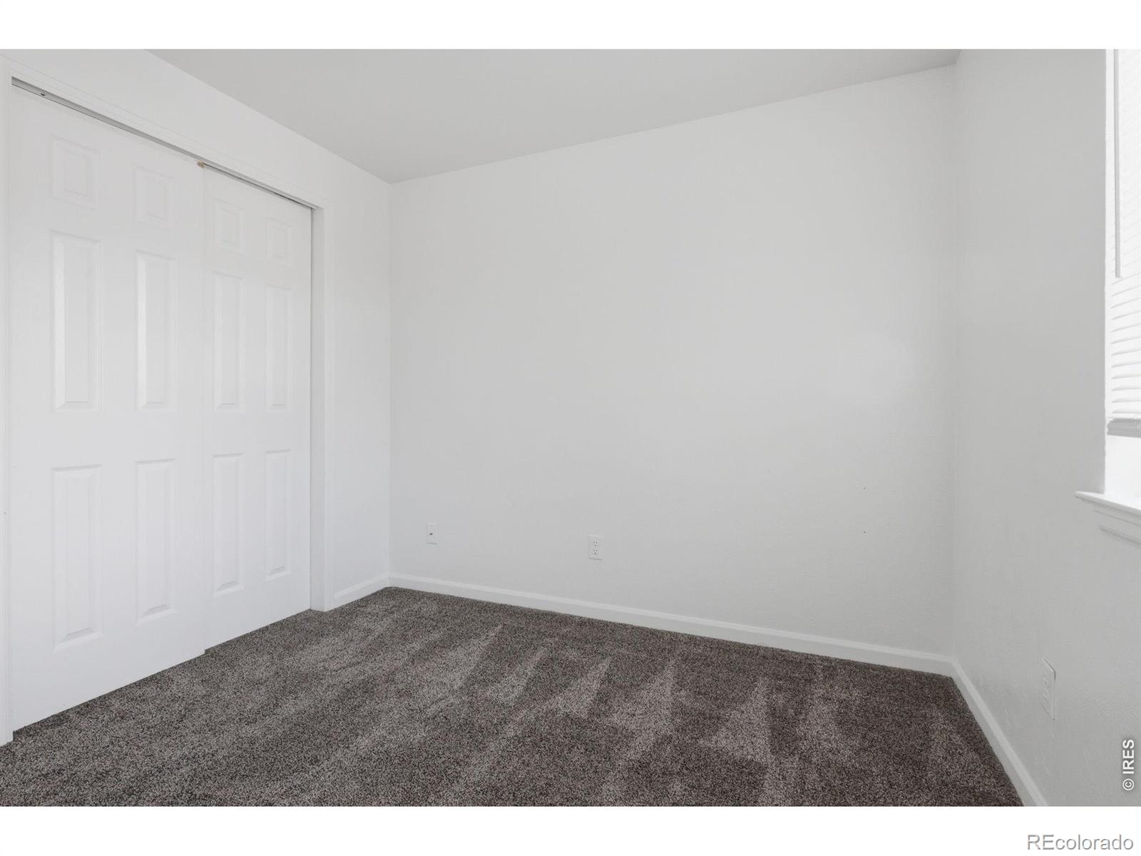 MLS Image #18 for 2479  tulip street,longmont, Colorado