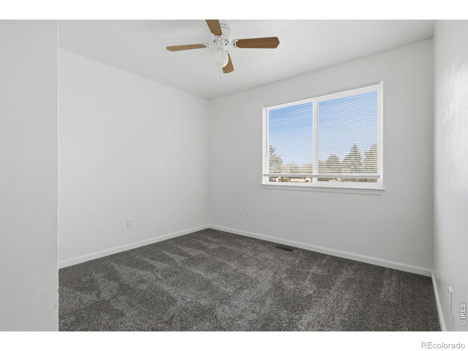 MLS Image #20 for 2479  tulip street,longmont, Colorado