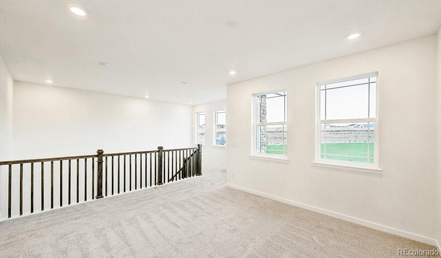 MLS Image #13 for 8745  whiptail loop,littleton, Colorado