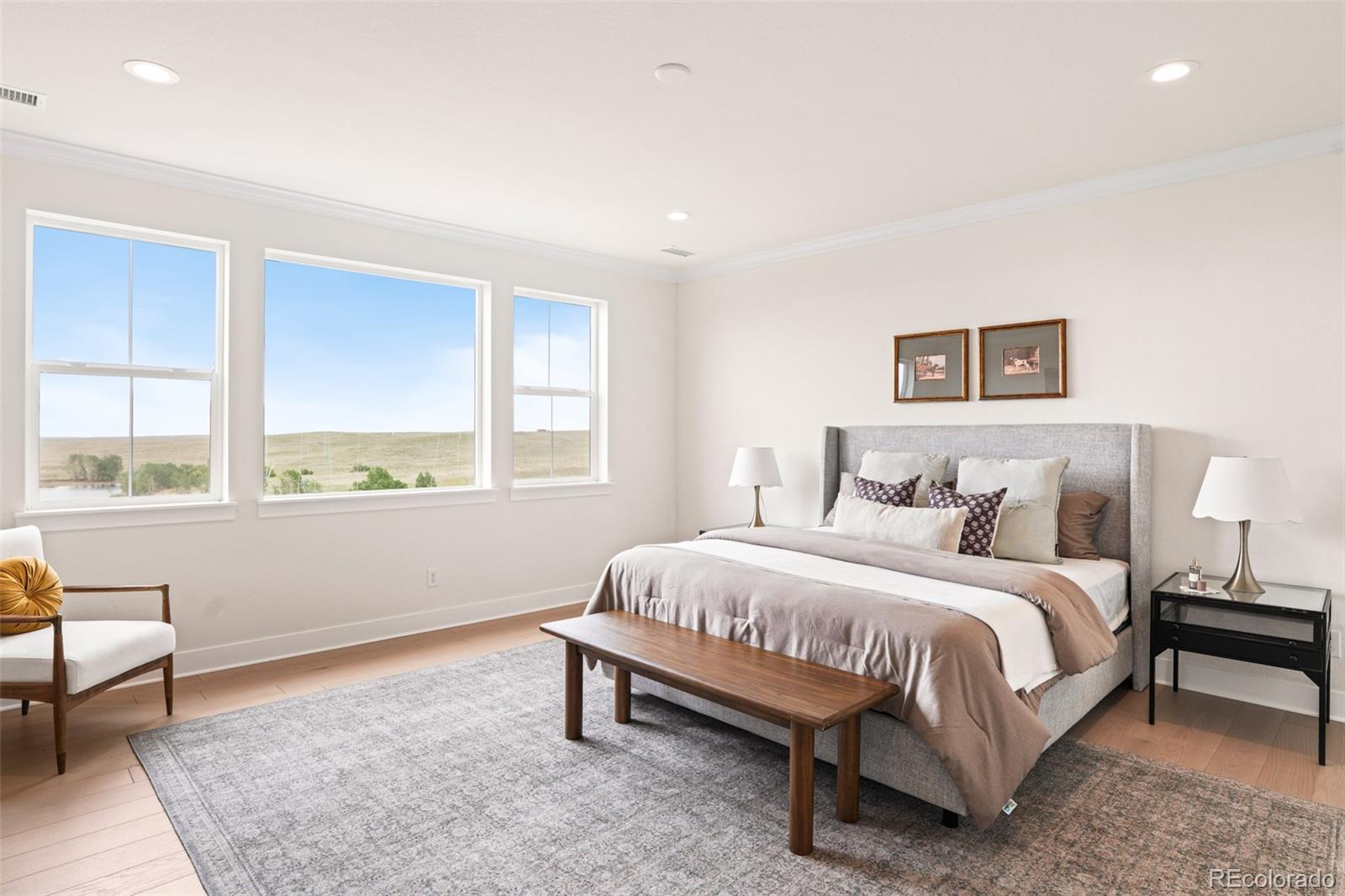 MLS Image #29 for 6638 s white crow court ,aurora, Colorado