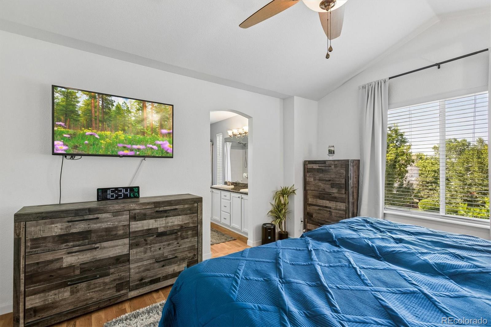 MLS Image #12 for 11042  pheasant court,parker, Colorado