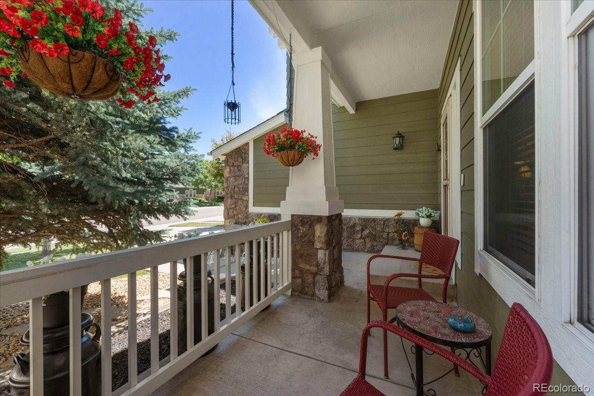 MLS Image #4 for 4646  sunridge terrace drive,castle rock, Colorado