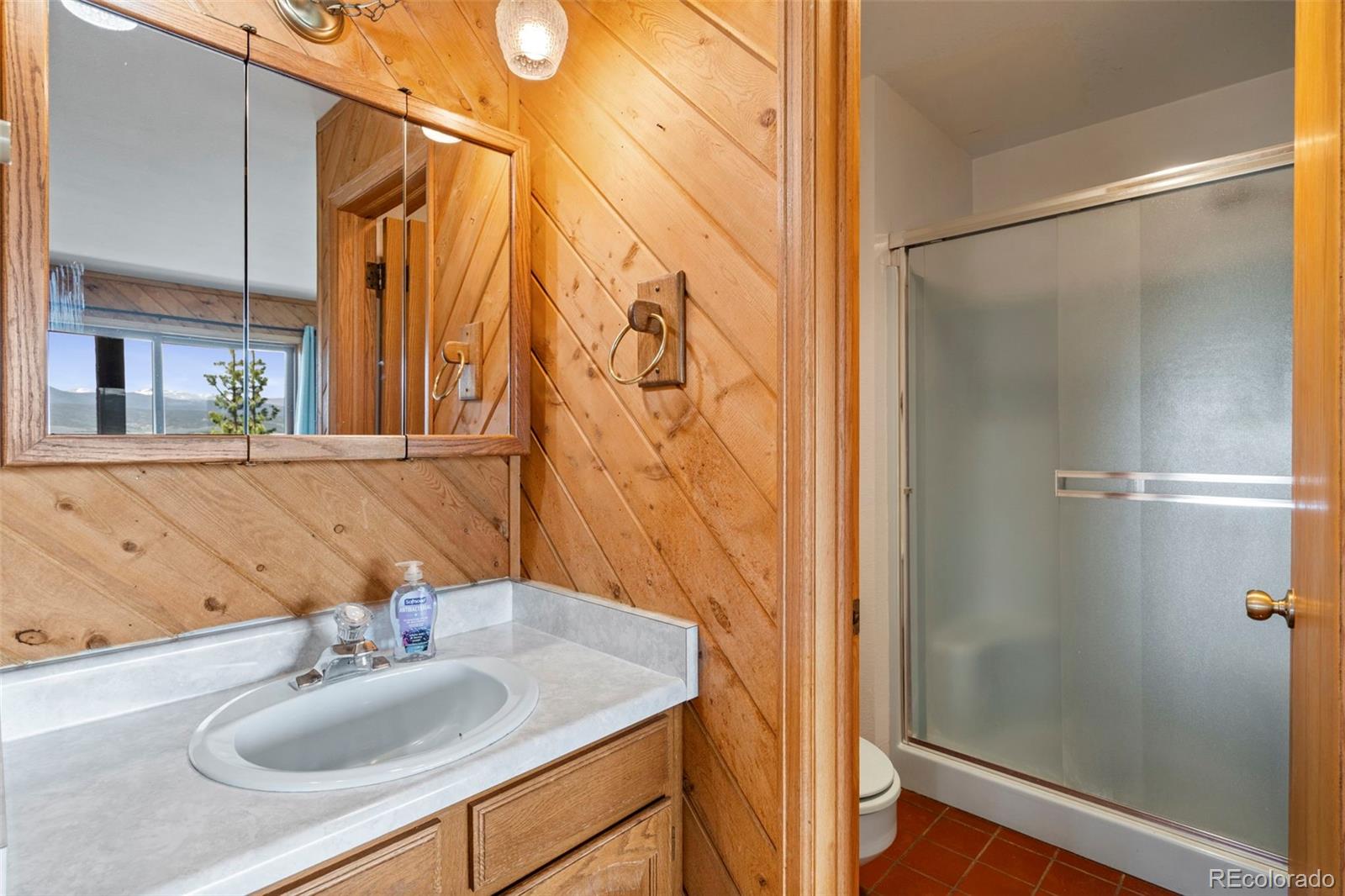 MLS Image #18 for 363  peaks point,granby, Colorado