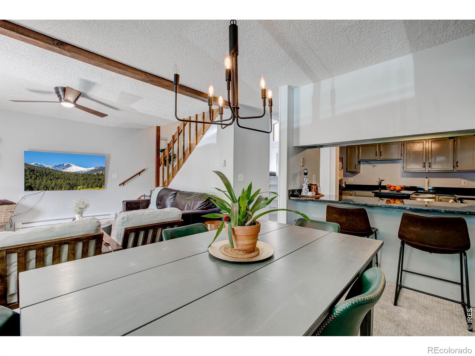 MLS Image #19 for 1050 s saint vrain avenue,estes park, Colorado
