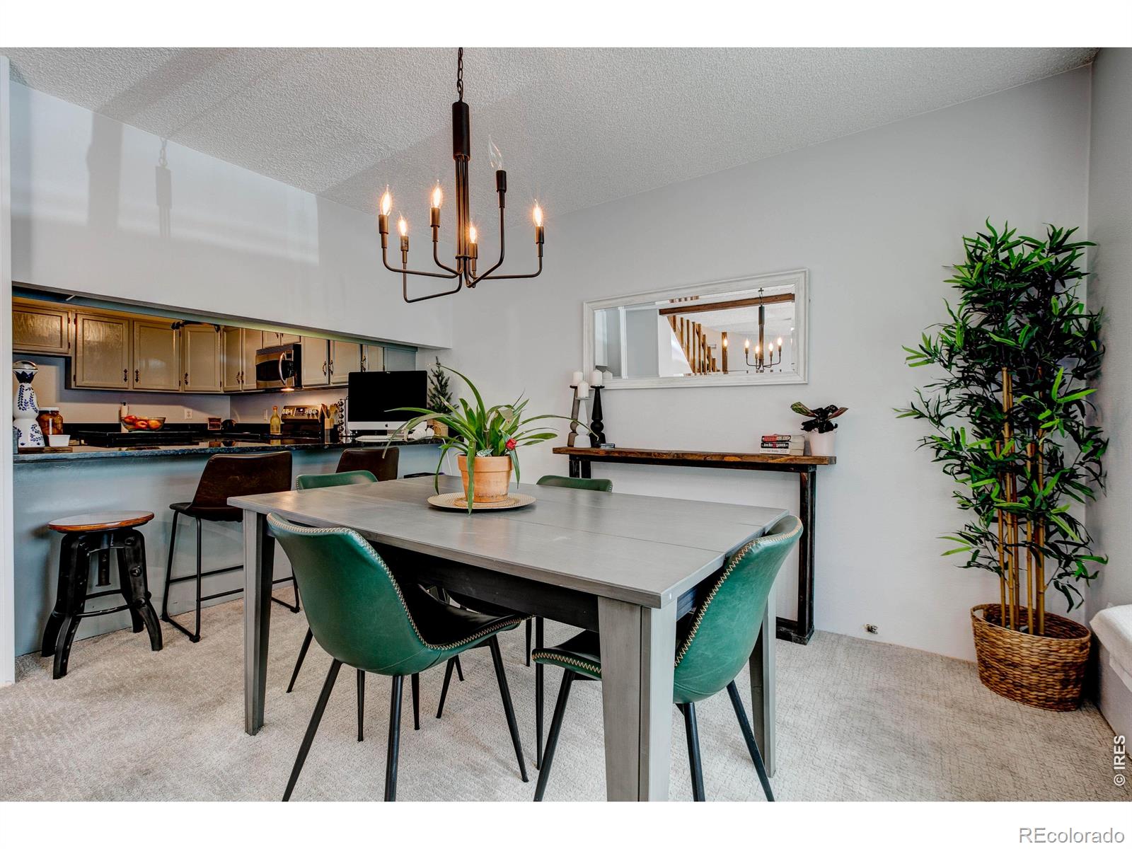 MLS Image #23 for 1050 s saint vrain avenue,estes park, Colorado