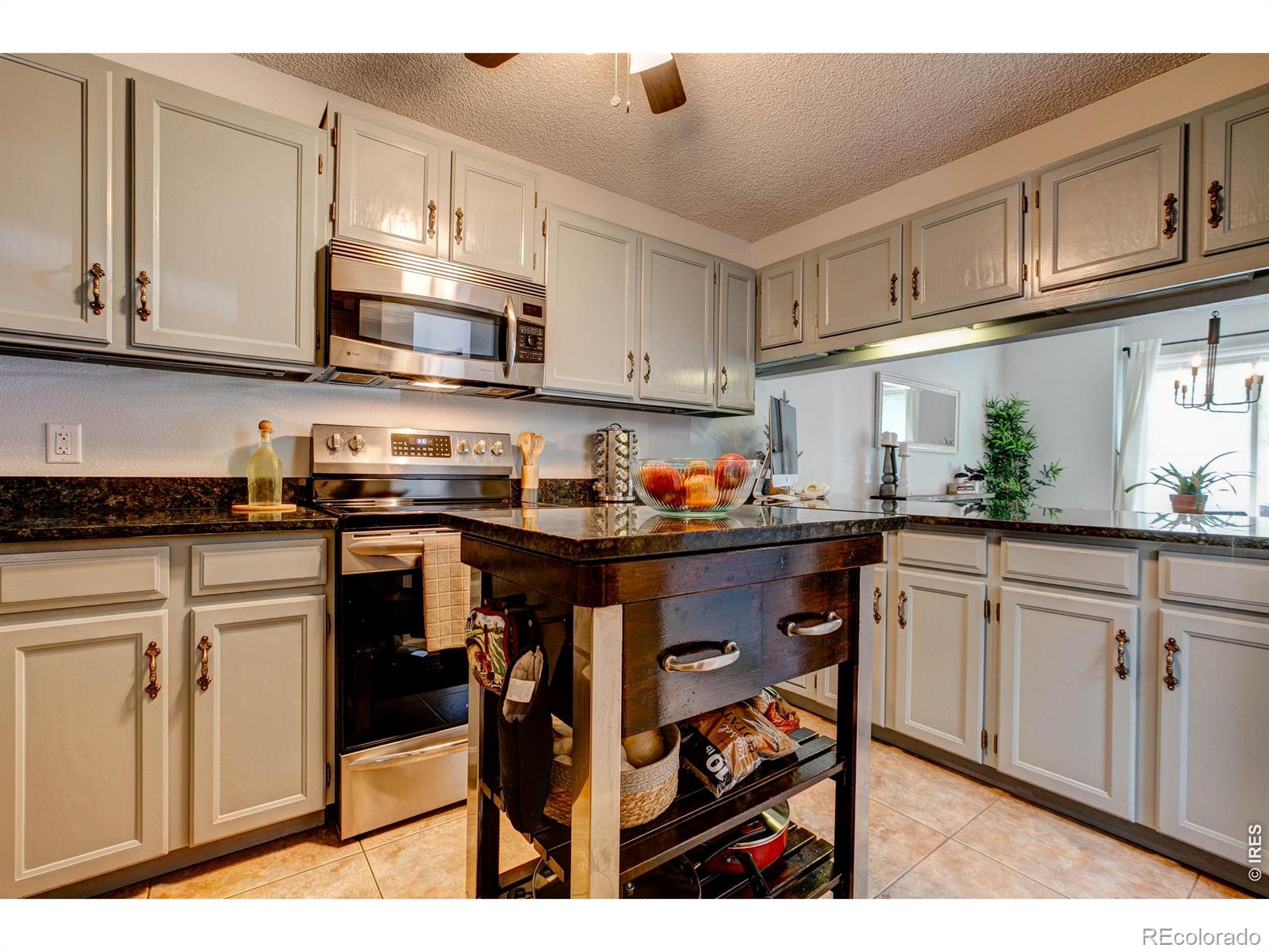 MLS Image #4 for 1050 s saint vrain avenue,estes park, Colorado