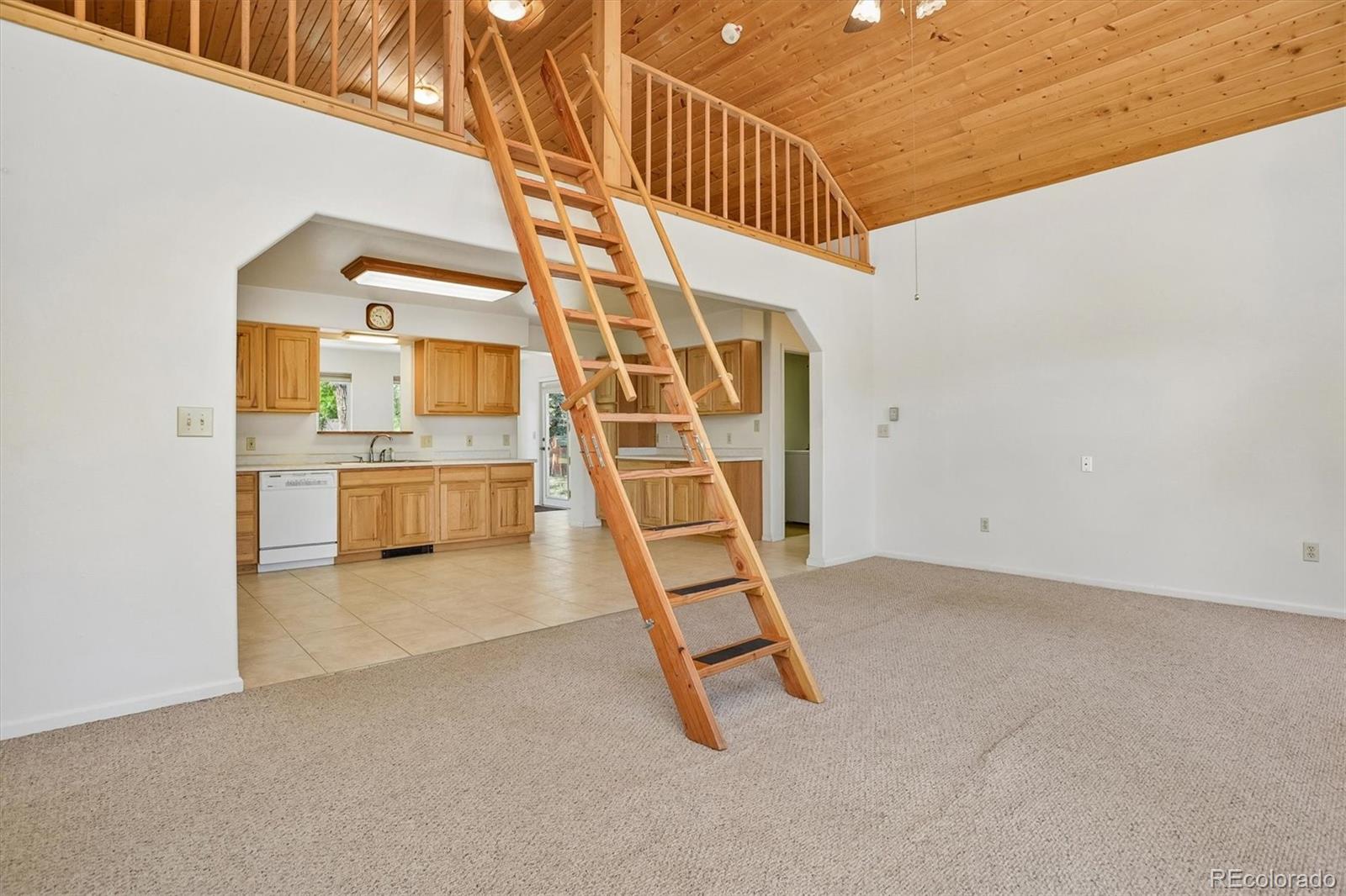 MLS Image #10 for 233  brookdale avenue,buena vista, Colorado