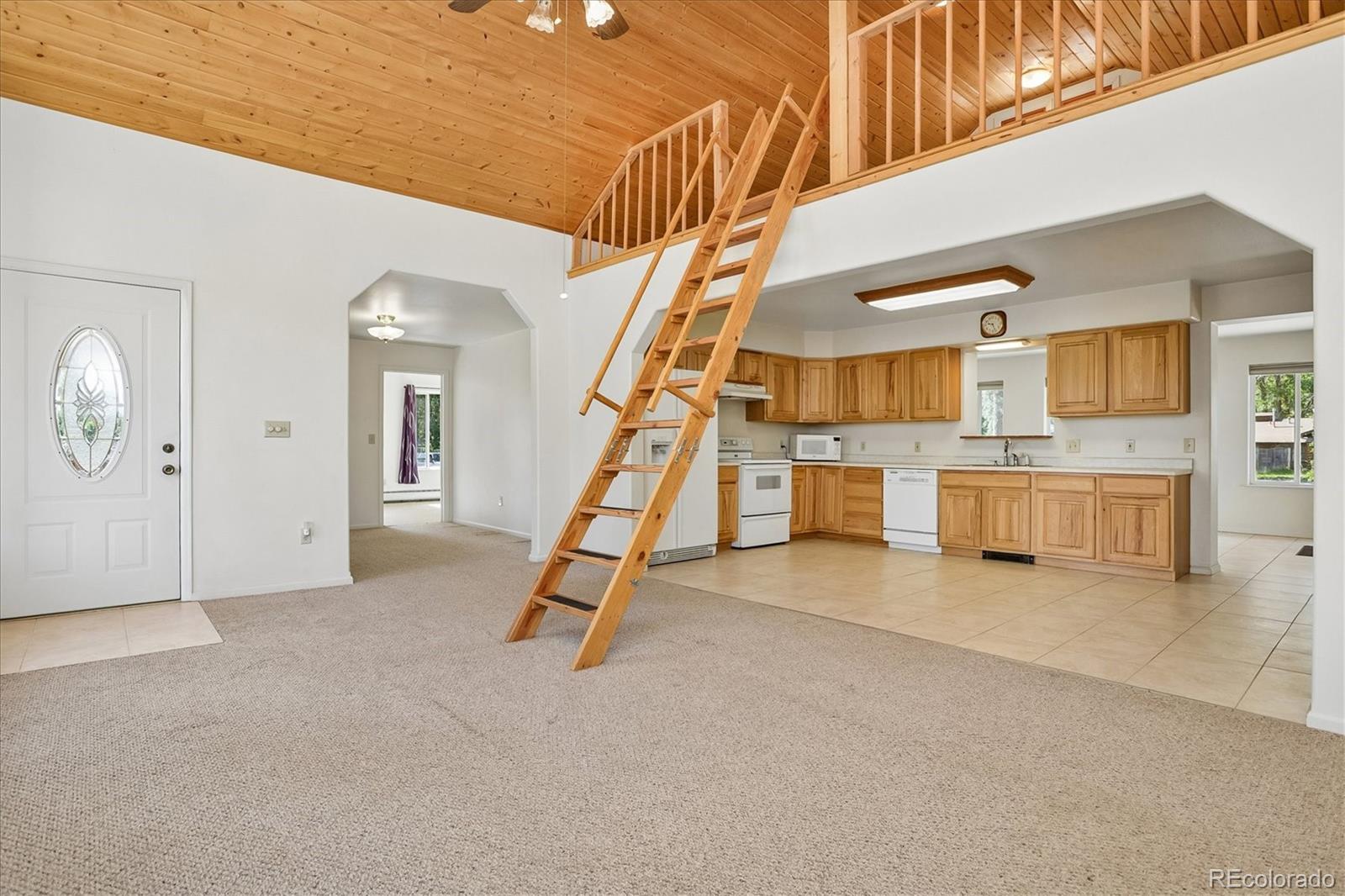 MLS Image #11 for 233  brookdale avenue,buena vista, Colorado