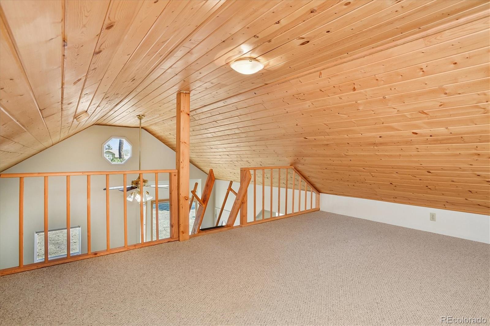 MLS Image #12 for 233  brookdale avenue,buena vista, Colorado