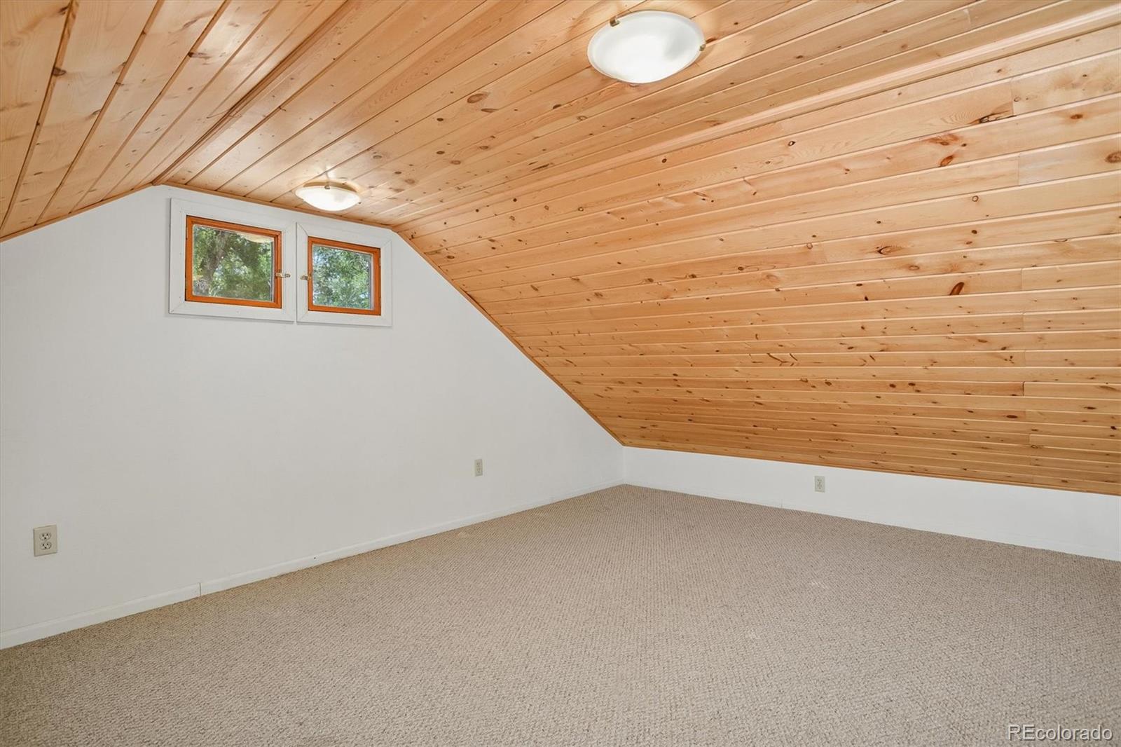 MLS Image #13 for 233  brookdale avenue,buena vista, Colorado
