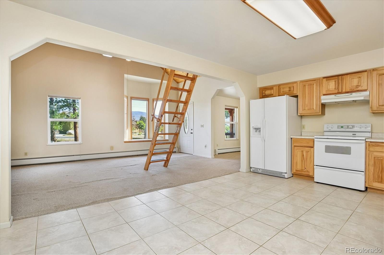 MLS Image #17 for 233  brookdale avenue,buena vista, Colorado