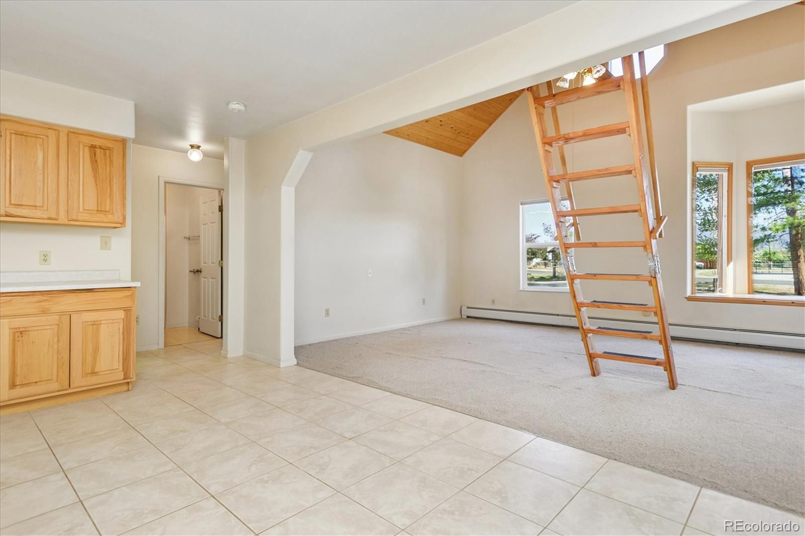 MLS Image #18 for 233  brookdale avenue,buena vista, Colorado