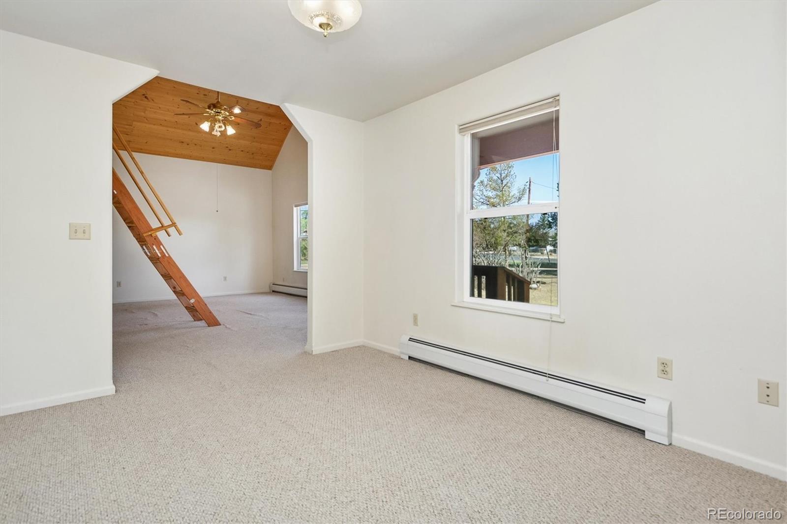 MLS Image #19 for 233  brookdale avenue,buena vista, Colorado