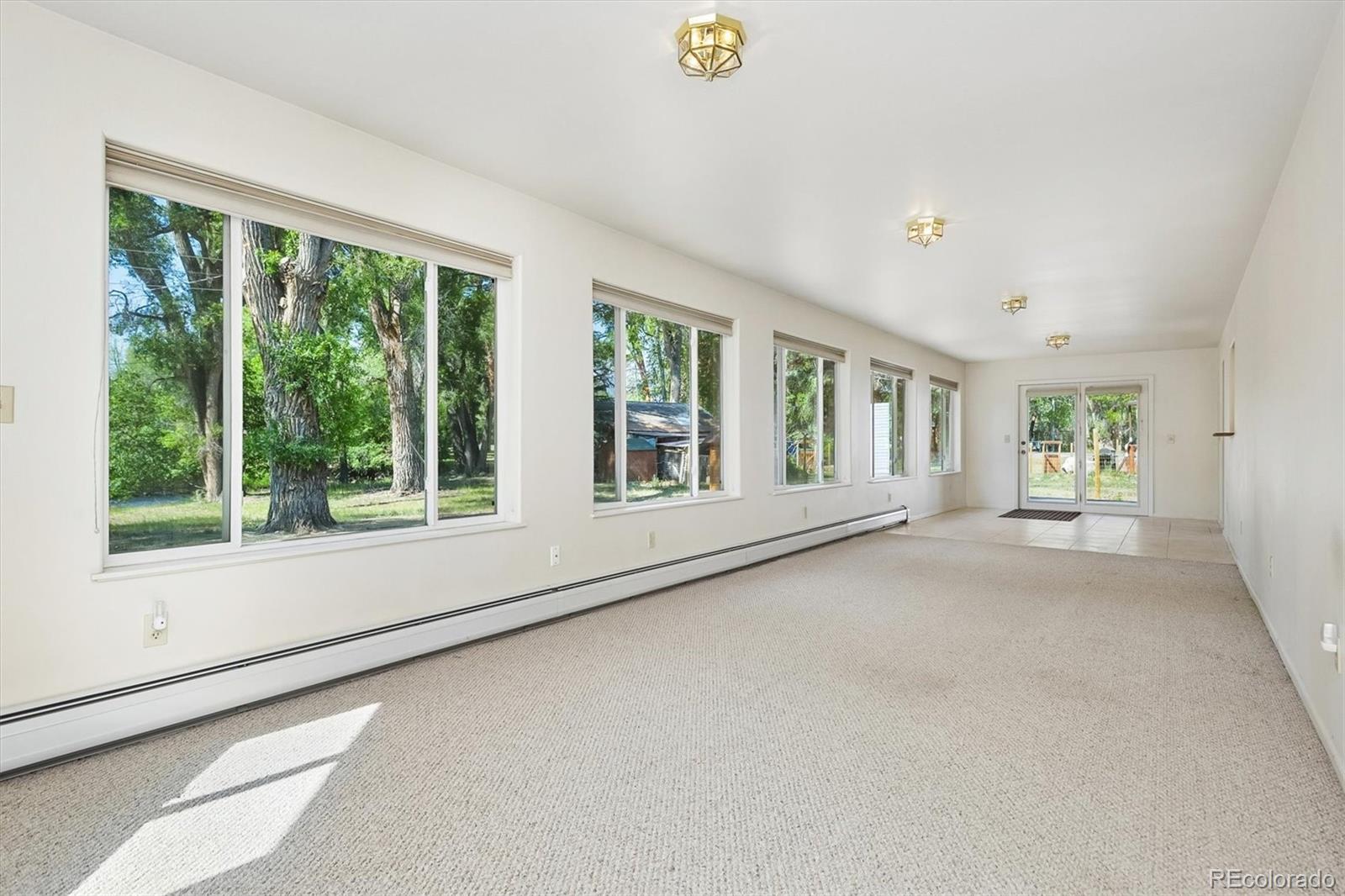 MLS Image #22 for 233  brookdale avenue,buena vista, Colorado