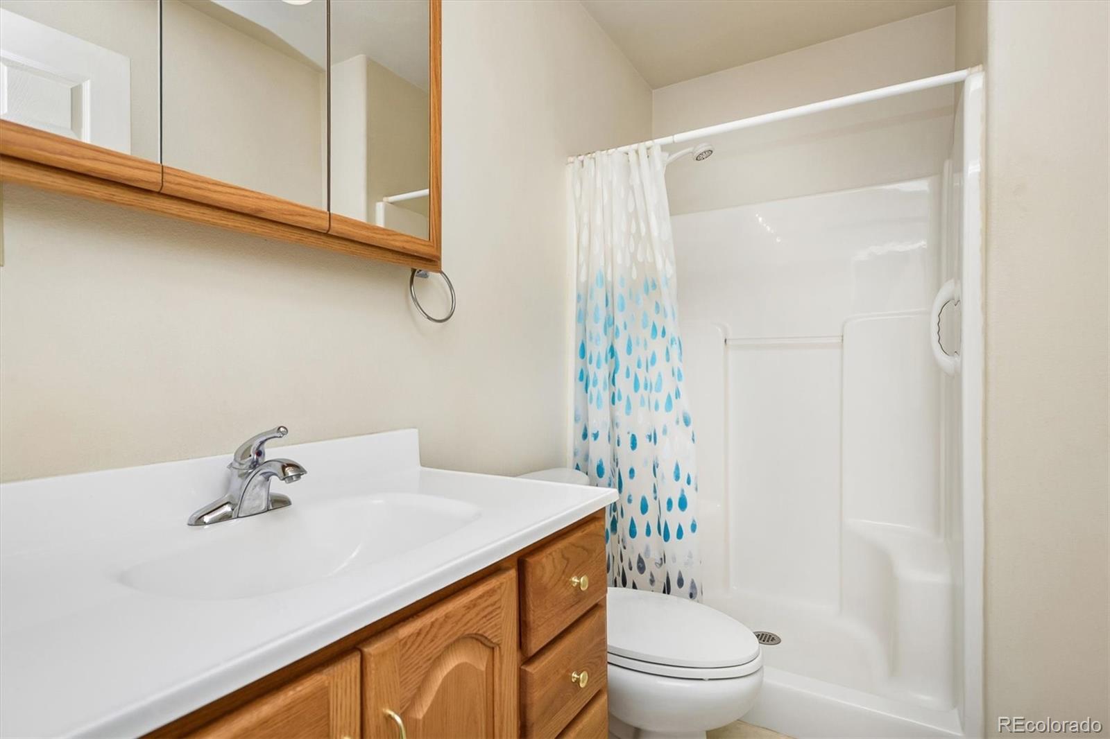 MLS Image #30 for 233  brookdale avenue,buena vista, Colorado