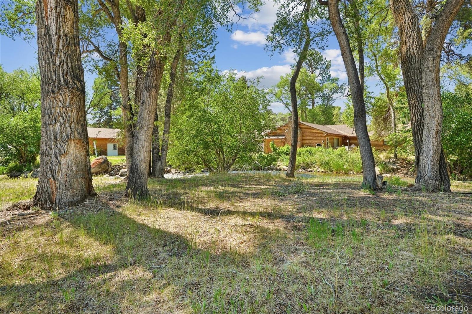 MLS Image #39 for 233  brookdale avenue,buena vista, Colorado
