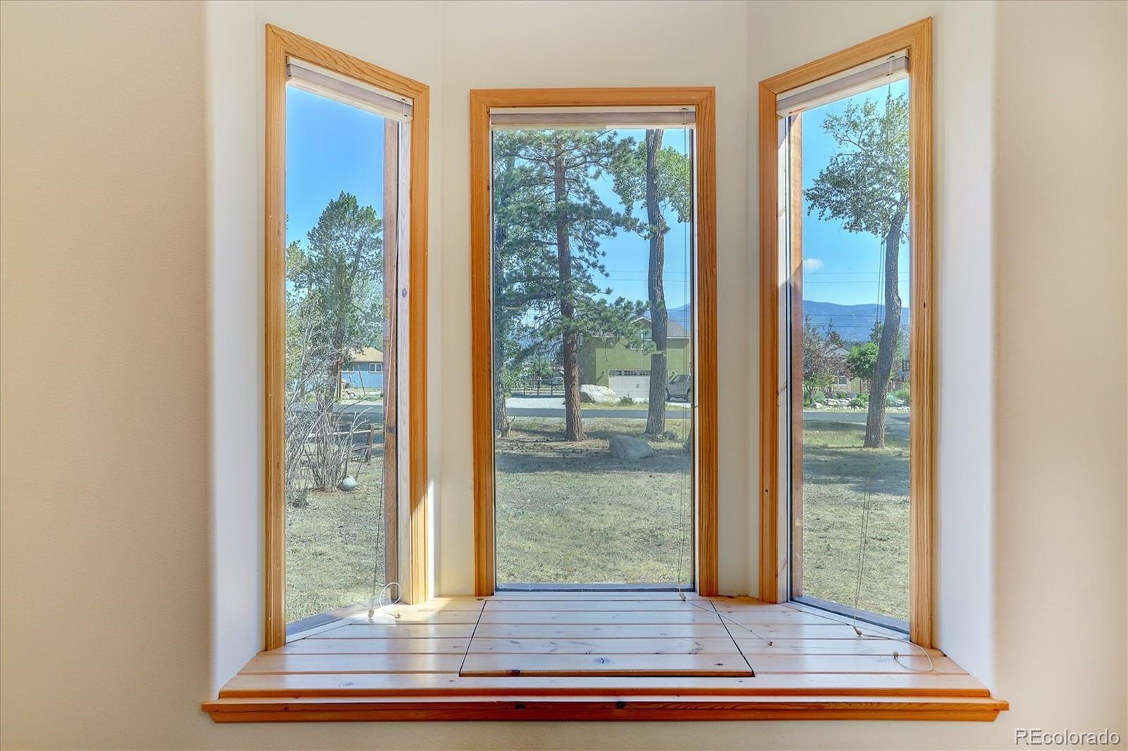 MLS Image #7 for 233  brookdale avenue,buena vista, Colorado