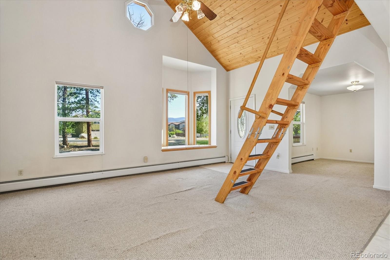 MLS Image #8 for 233  brookdale avenue,buena vista, Colorado
