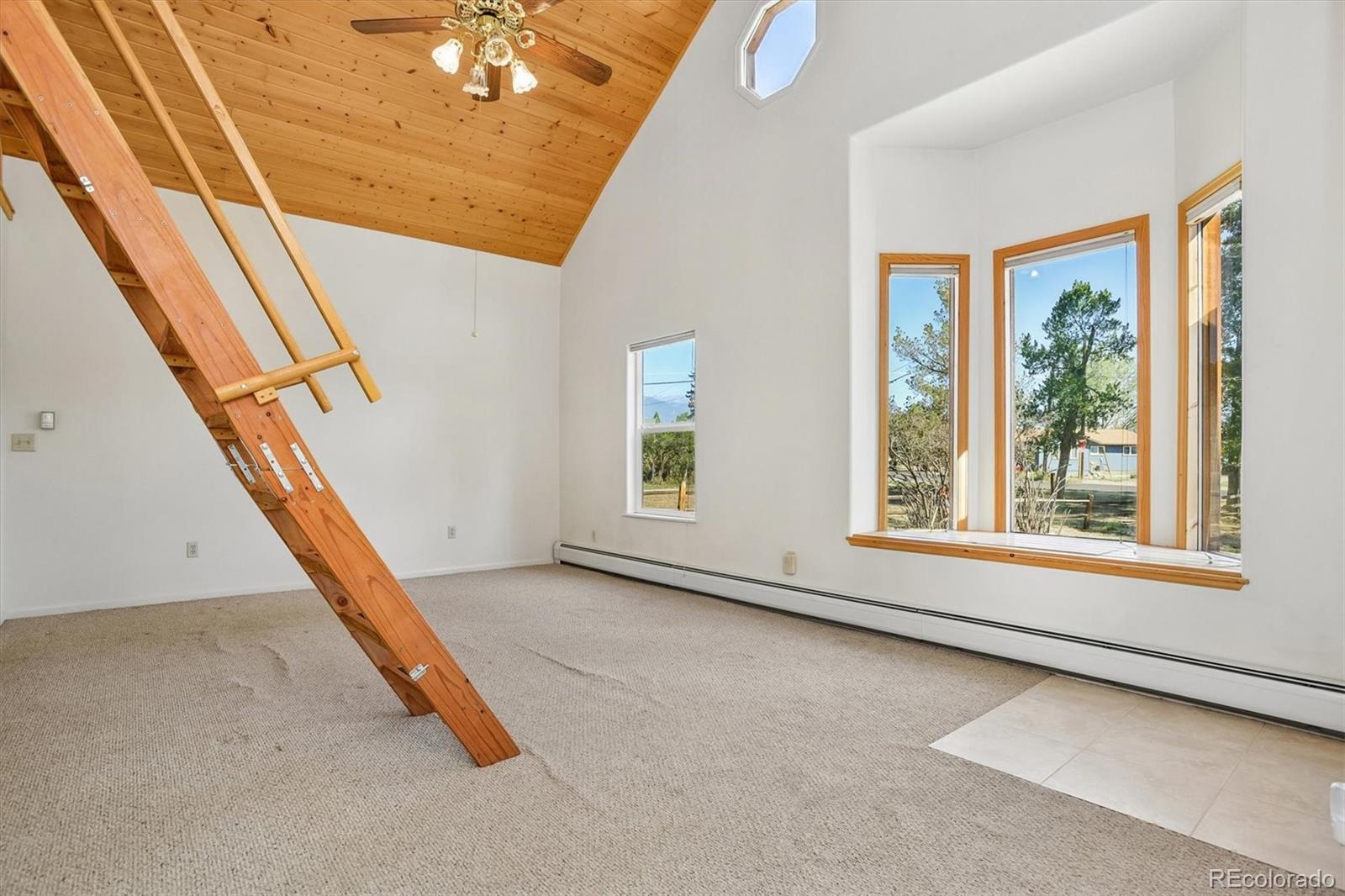 MLS Image #9 for 233  brookdale avenue,buena vista, Colorado