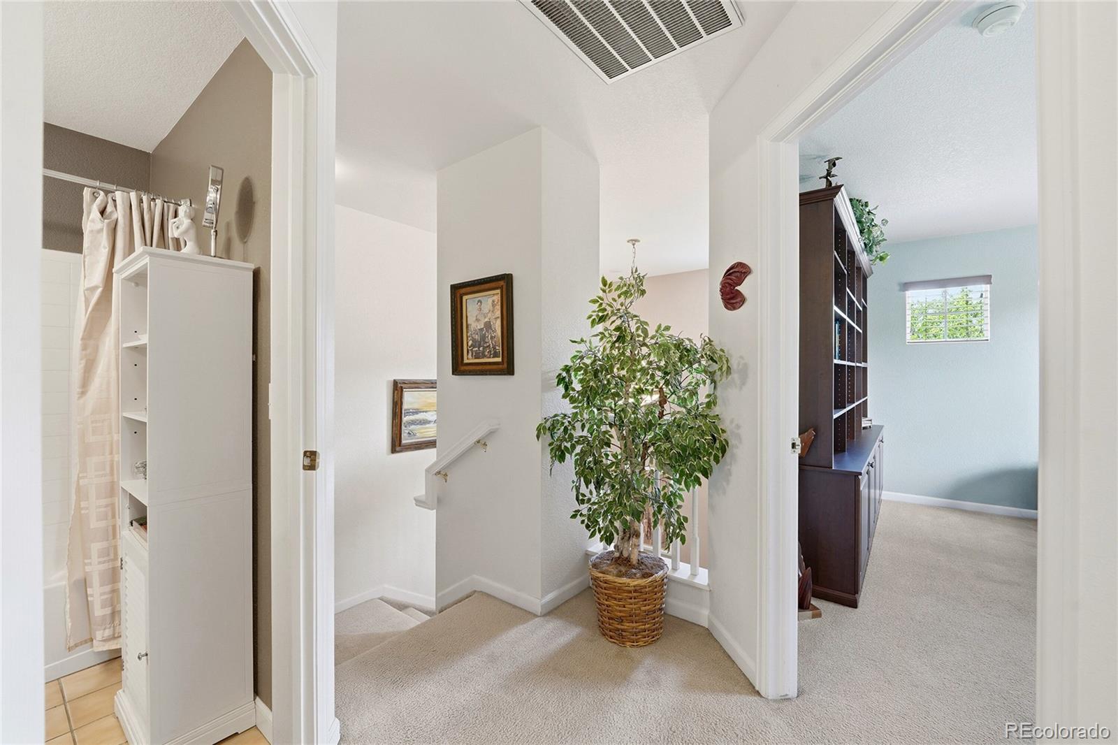 MLS Image #23 for 1490  thunder butte road,castle rock, Colorado