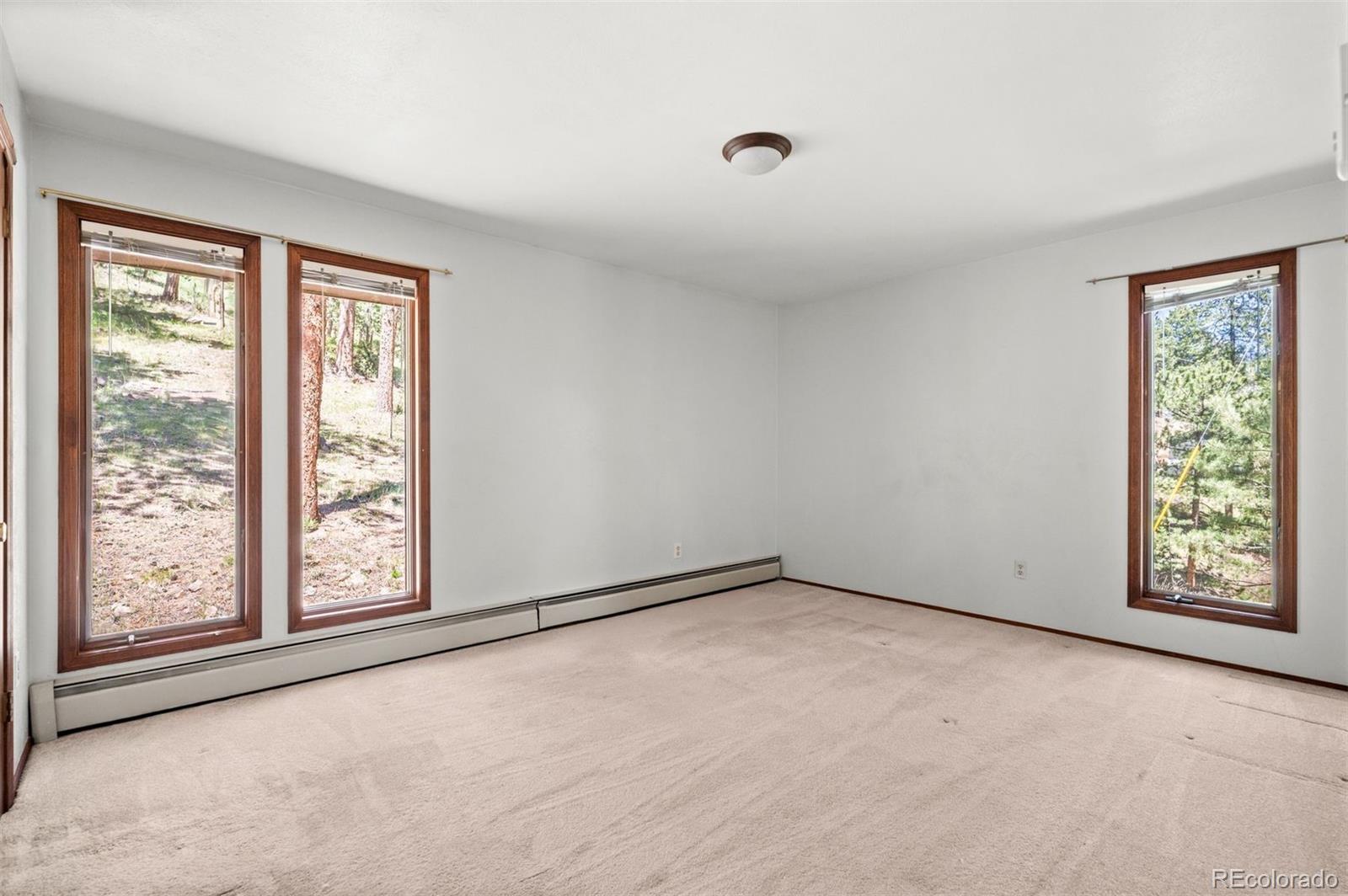 MLS Image #17 for 33057  little cub road,evergreen, Colorado