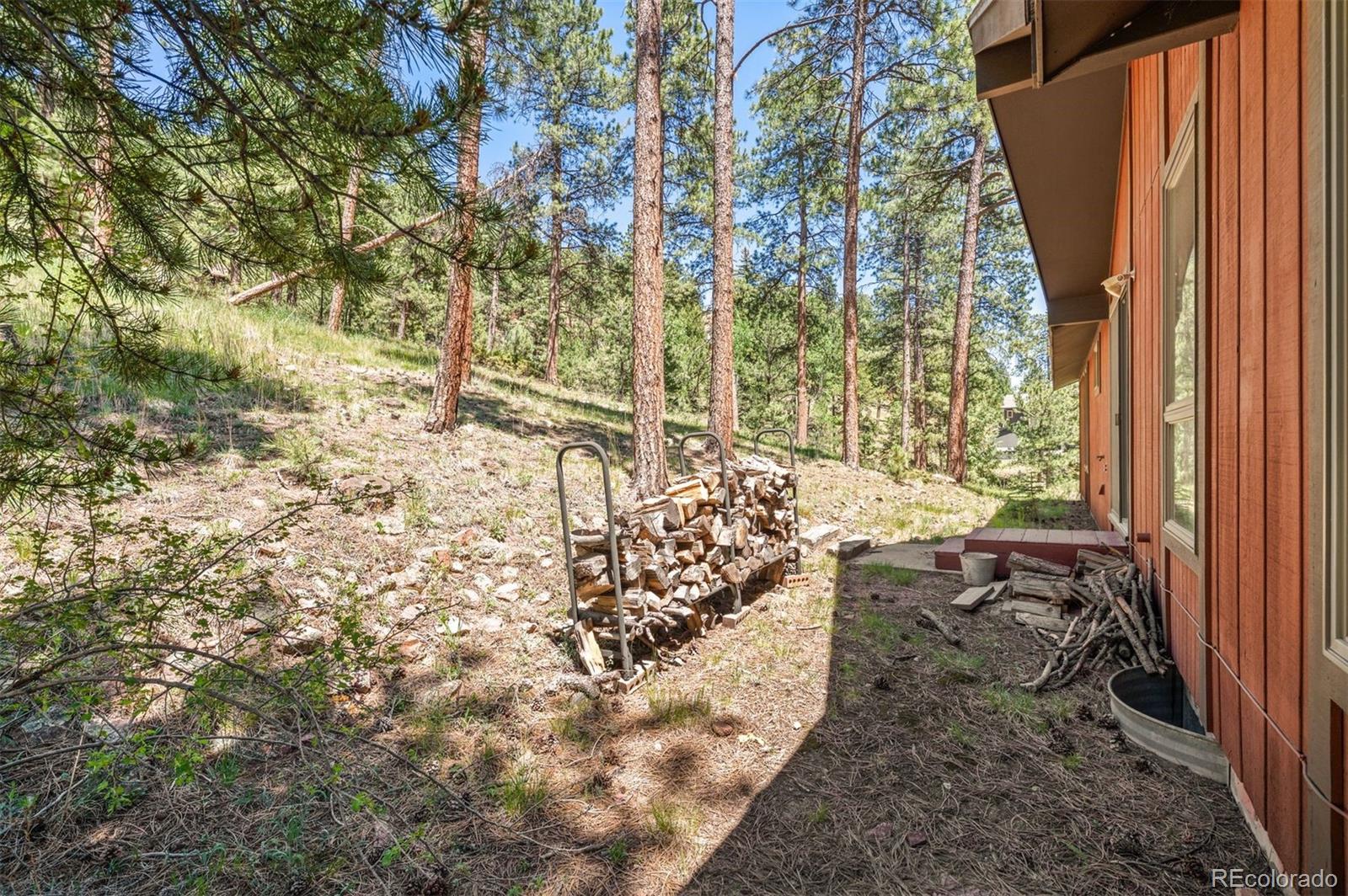 MLS Image #32 for 33057  little cub road,evergreen, Colorado