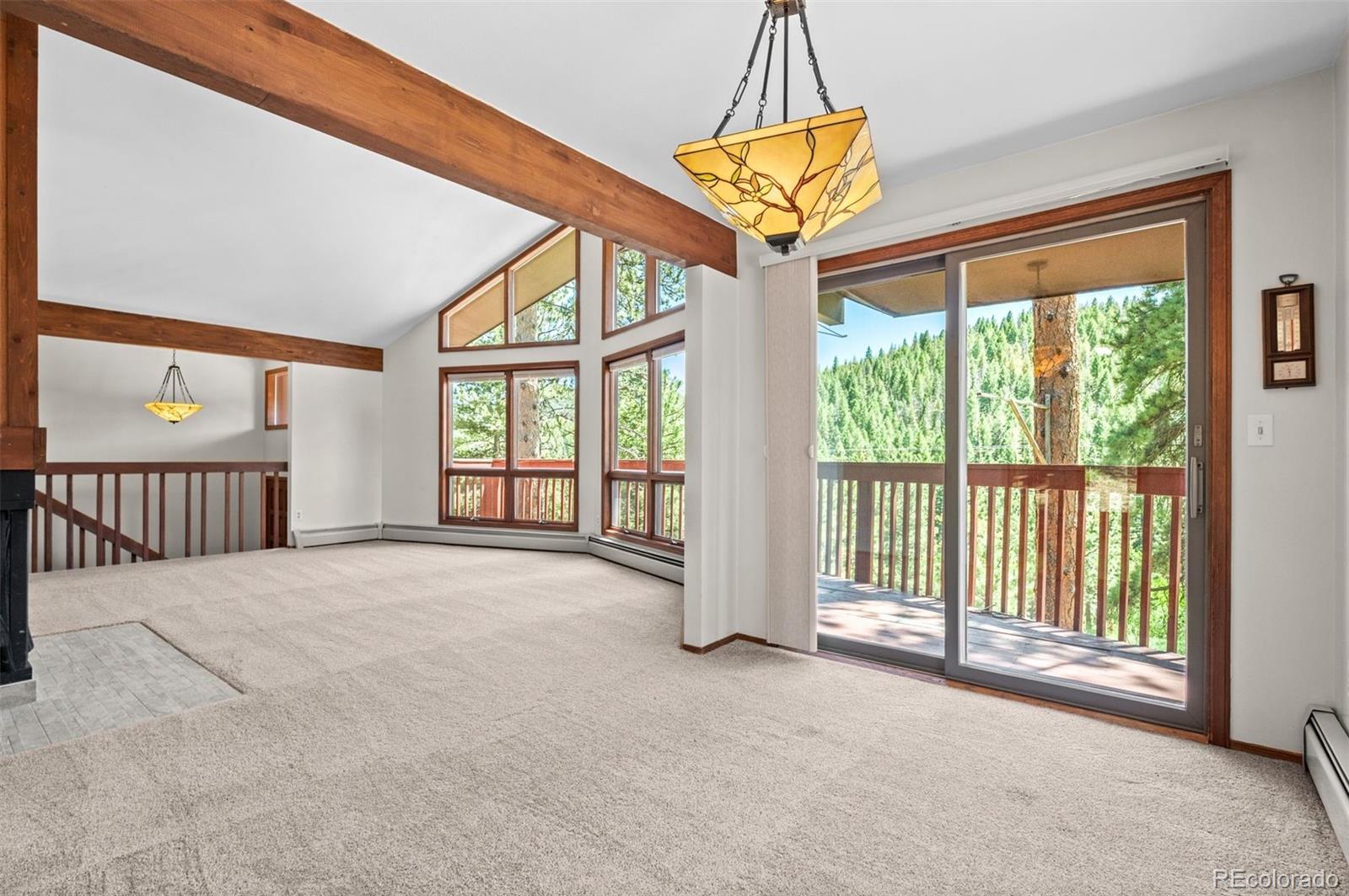 MLS Image #4 for 33057  little cub road,evergreen, Colorado