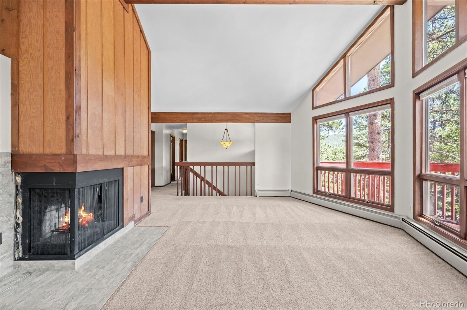 MLS Image #6 for 33057  little cub road,evergreen, Colorado