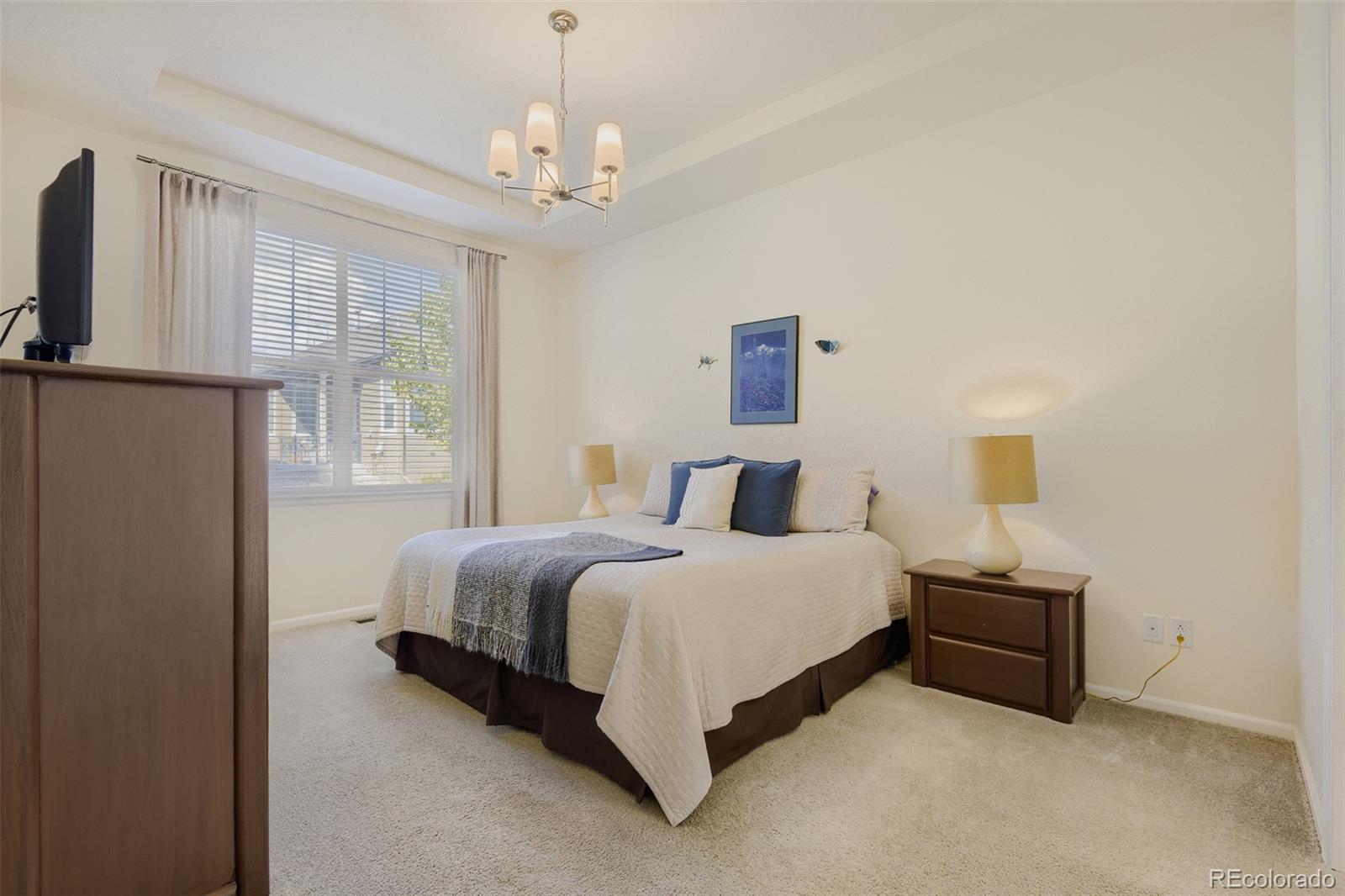 MLS Image #12 for 3456  new haven circle,castle rock, Colorado