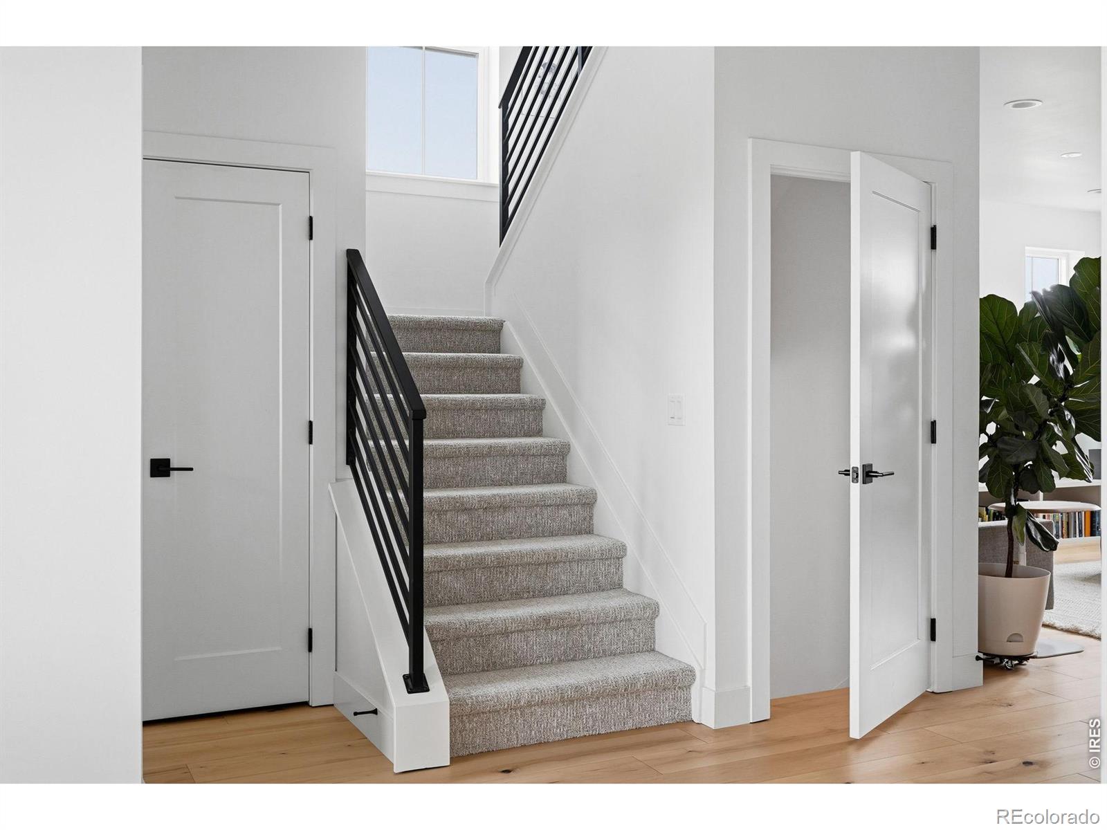 MLS Image #12 for 5588  cottontail drive,longmont, Colorado