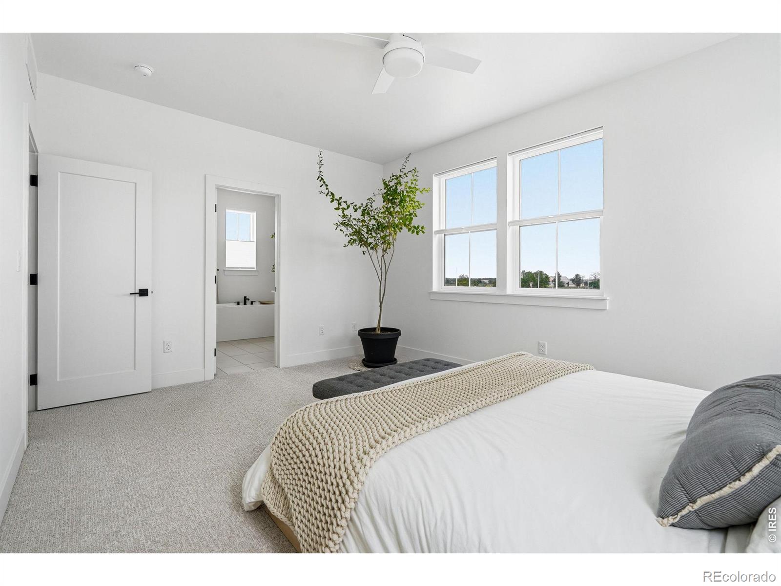MLS Image #15 for 5588  cottontail drive,longmont, Colorado