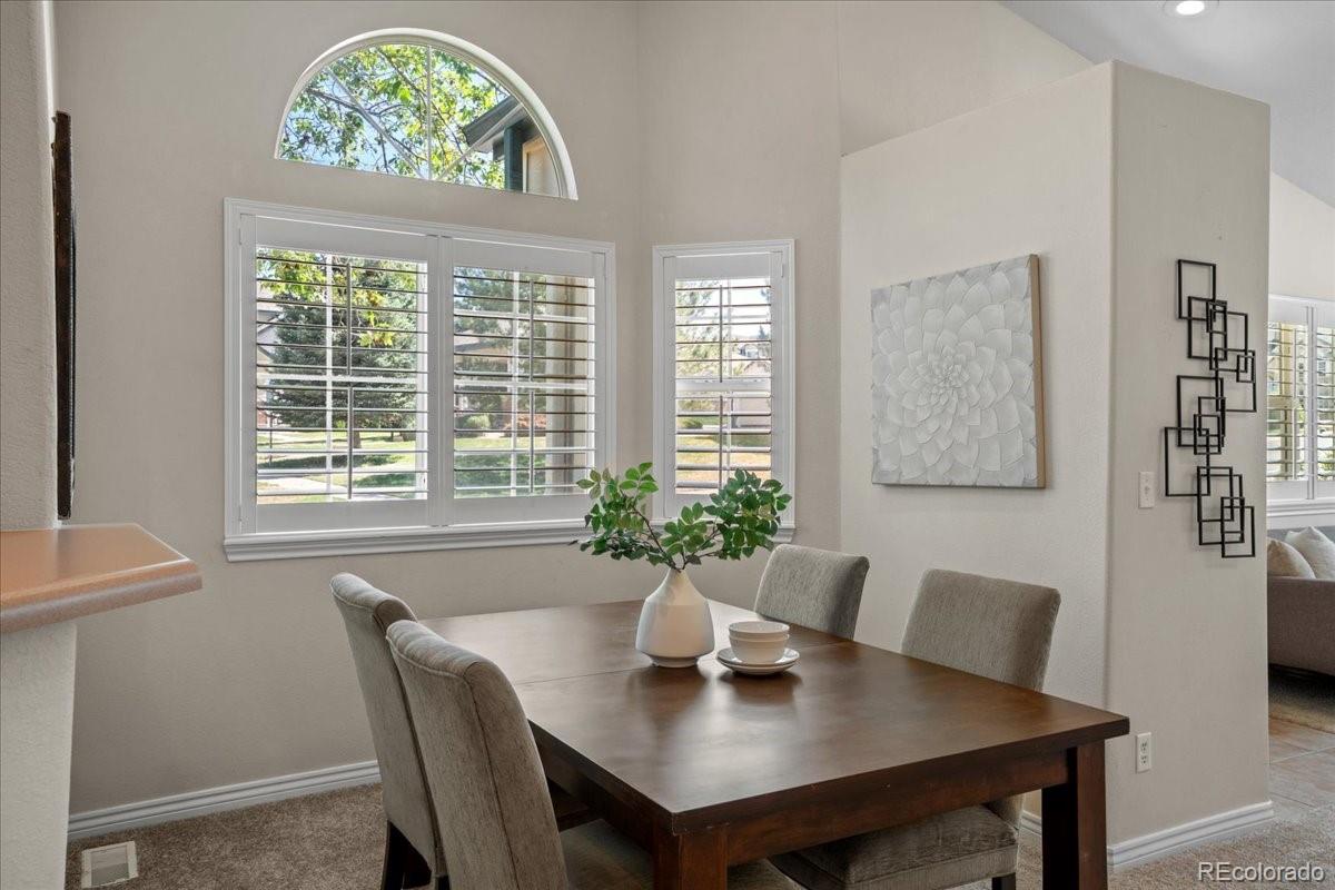 MLS Image #16 for 2993 s yampa court,aurora, Colorado