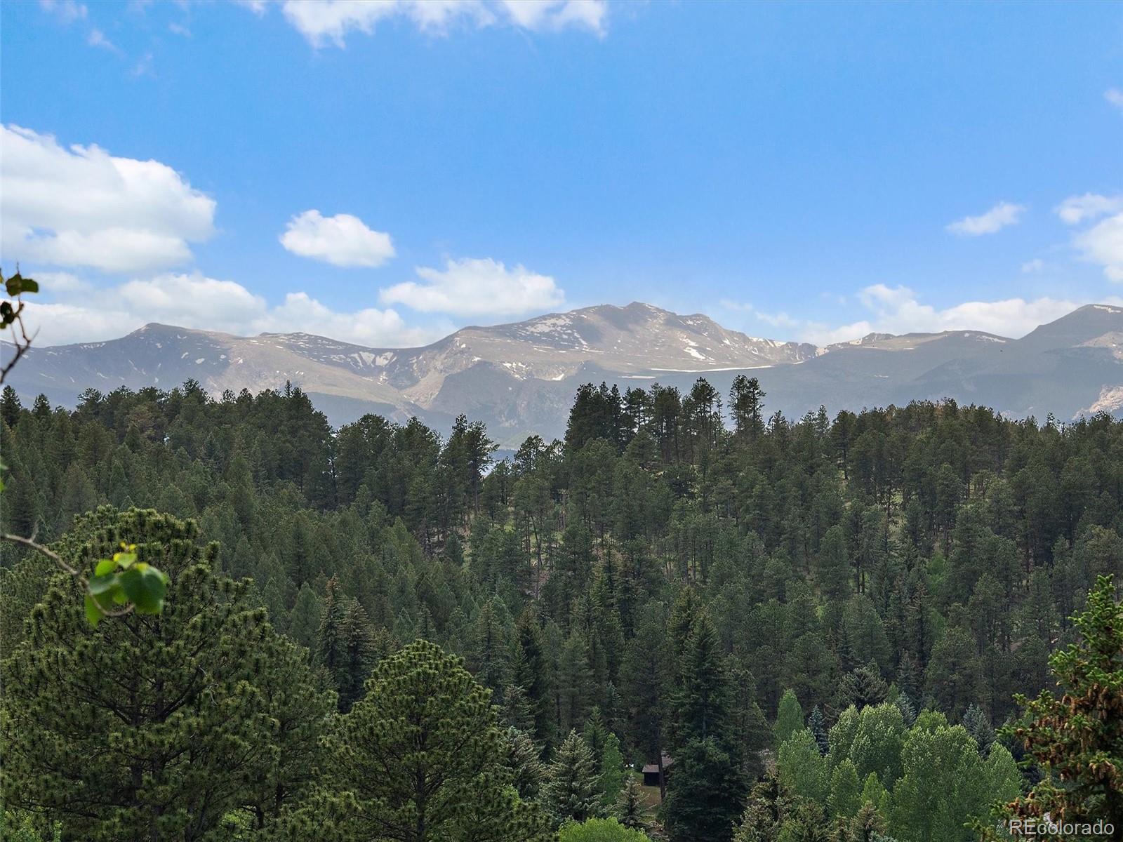MLS Image #39 for 4252 s meadow brook lane,evergreen, Colorado