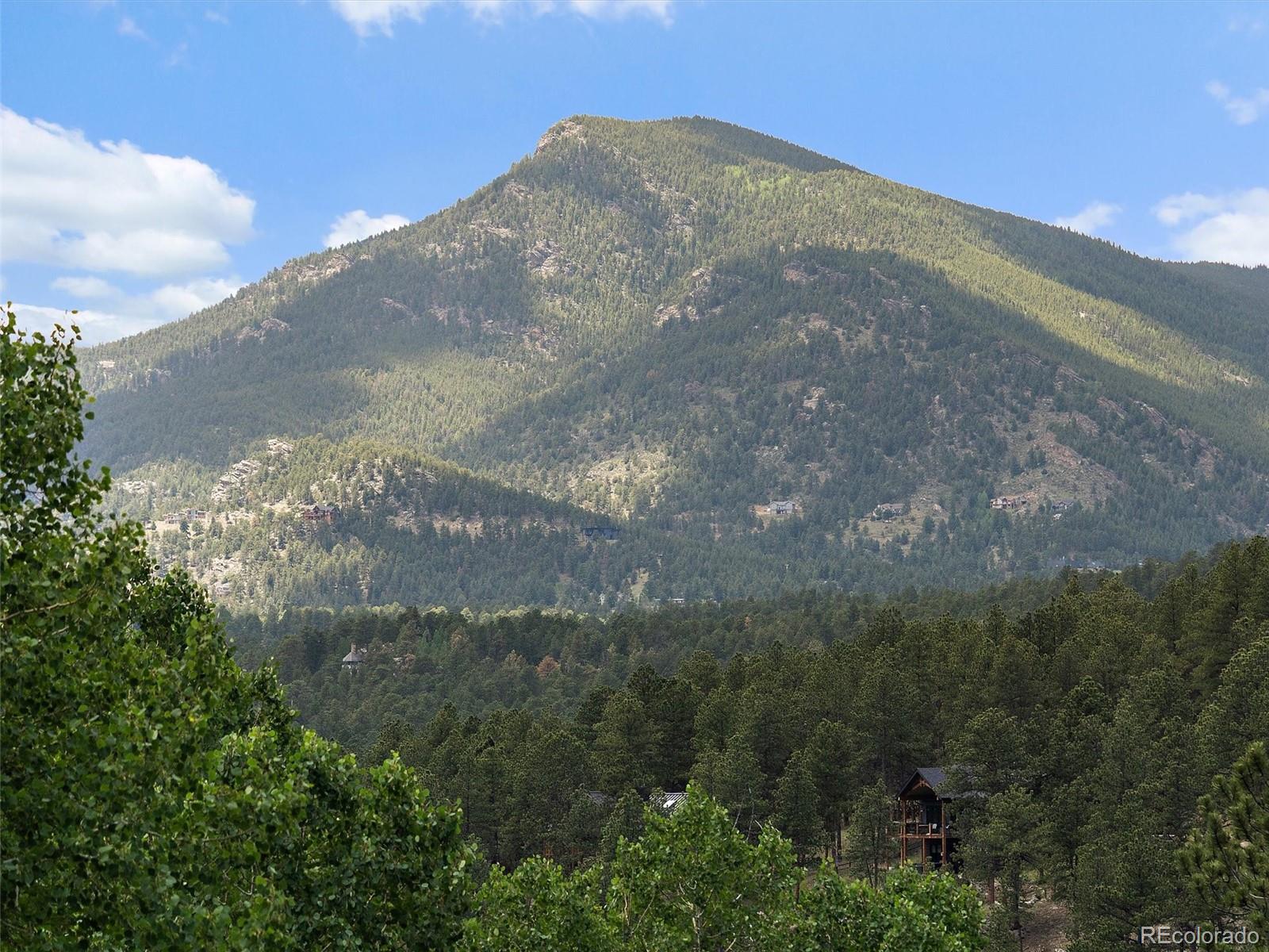 MLS Image #40 for 4252 s meadow brook lane,evergreen, Colorado