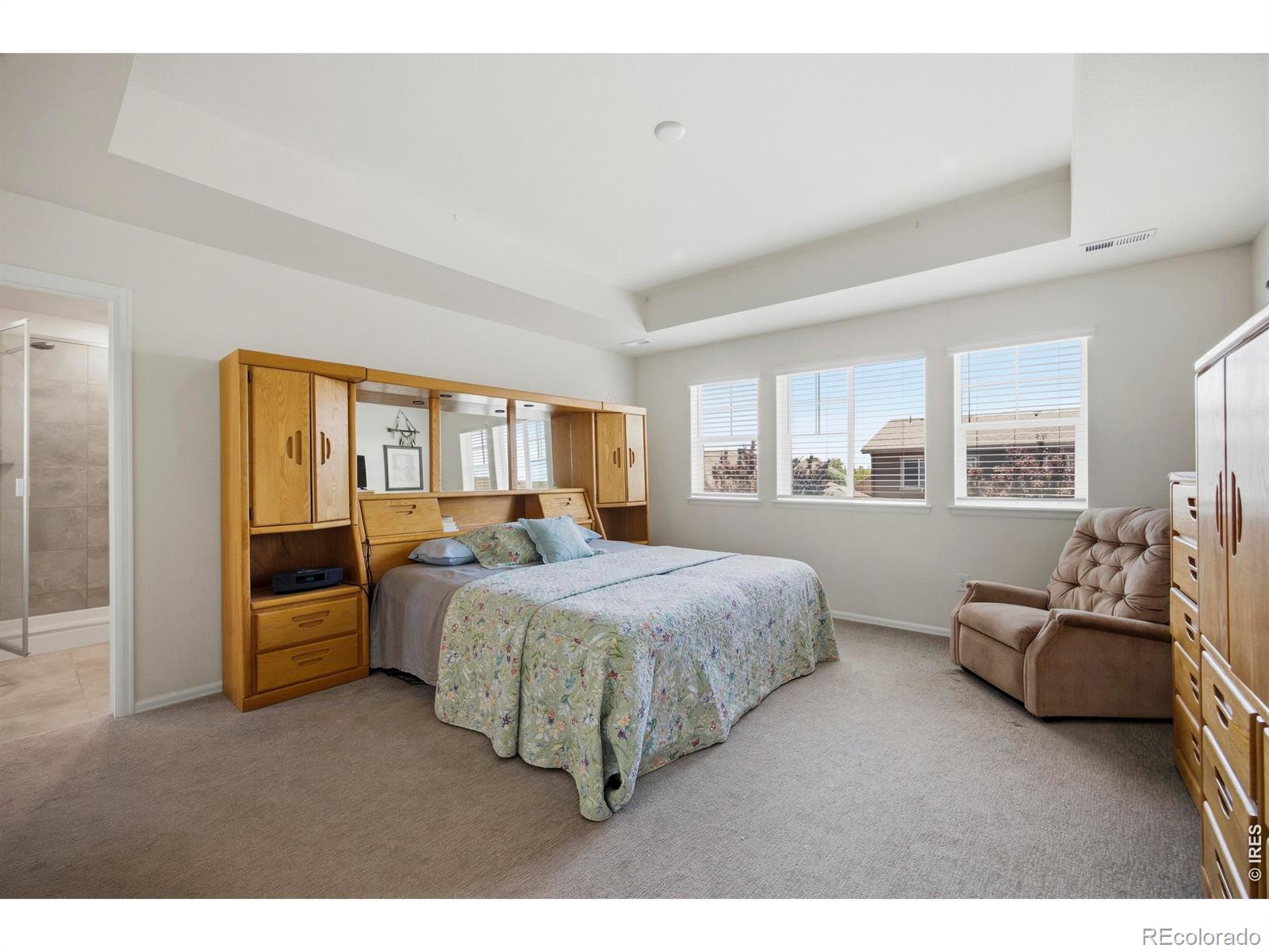 MLS Image #18 for 3027  reliant street,fort collins, Colorado